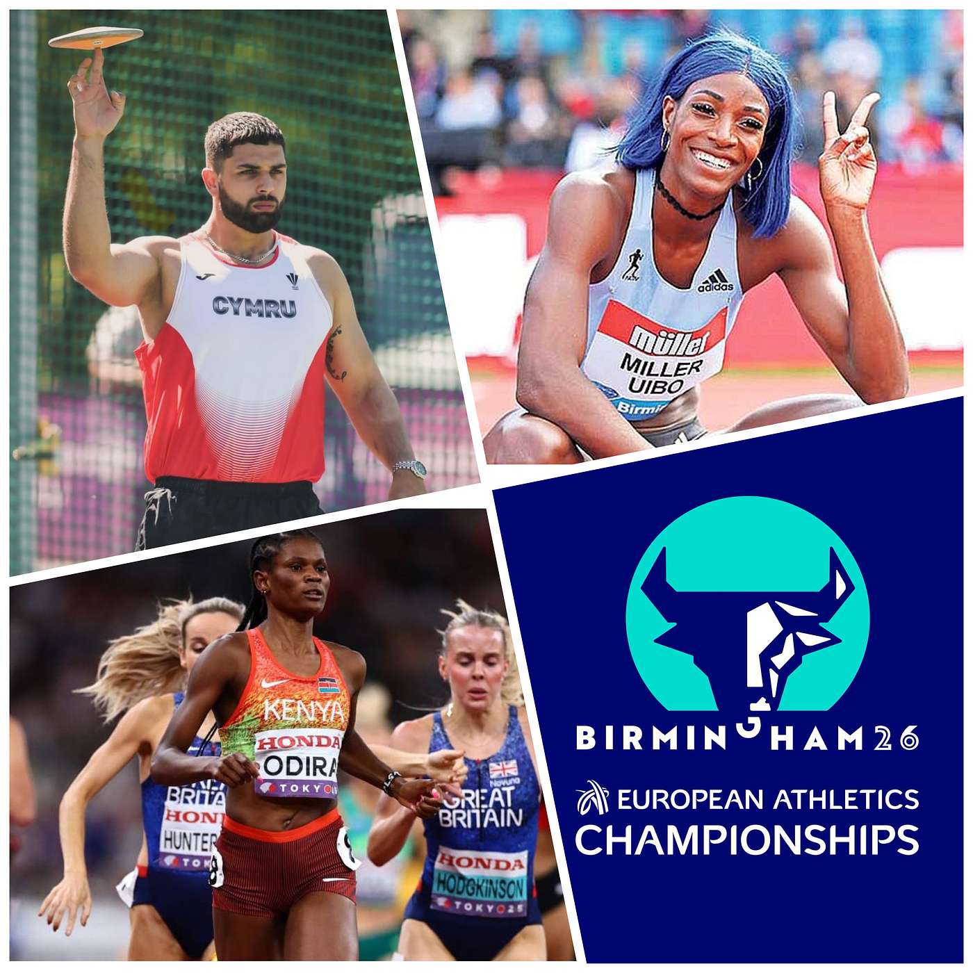 The Dan Brown Sport 2026 Preview Edition with Dan Peachey and Chris Brown Sport The Dan Brown Sport 2026 Preview Edition with Dan Peachey and Chris Brown Sport