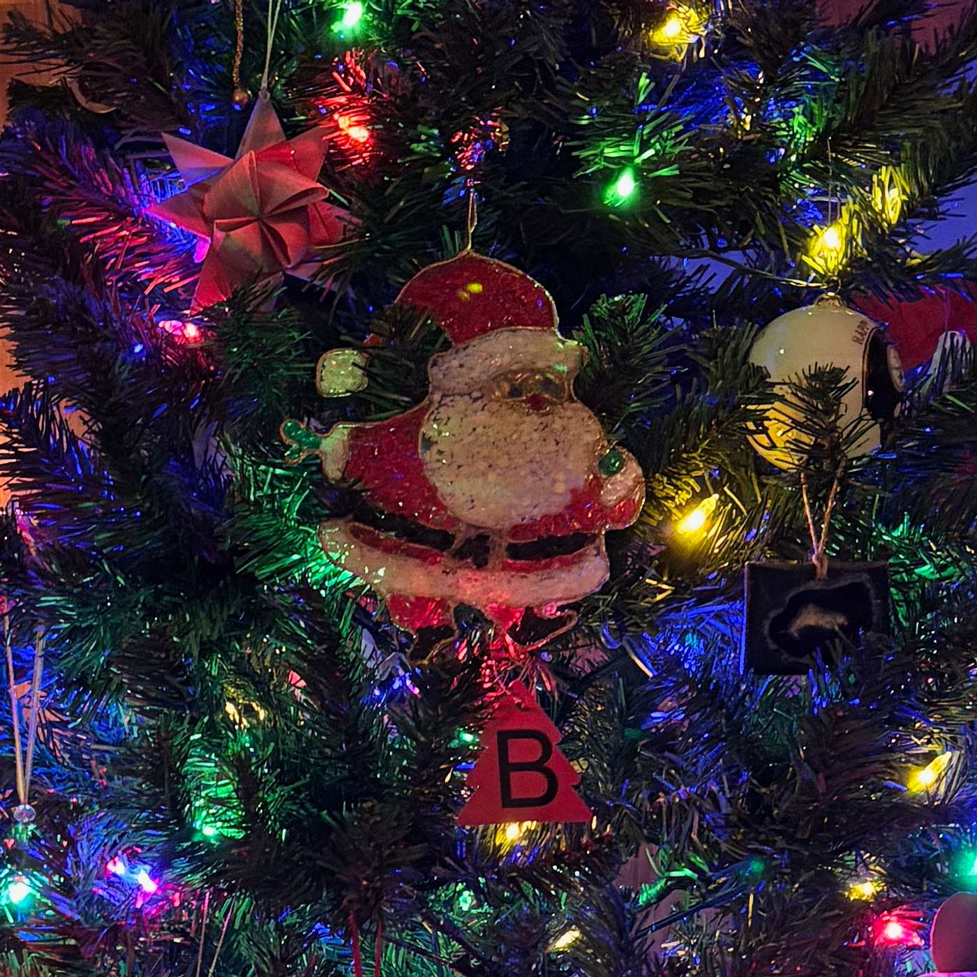 Kerry Shamblin Vedic Astrology