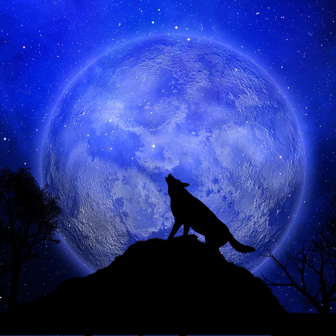 Ben Belinsky\'s Moonletter Podcast
