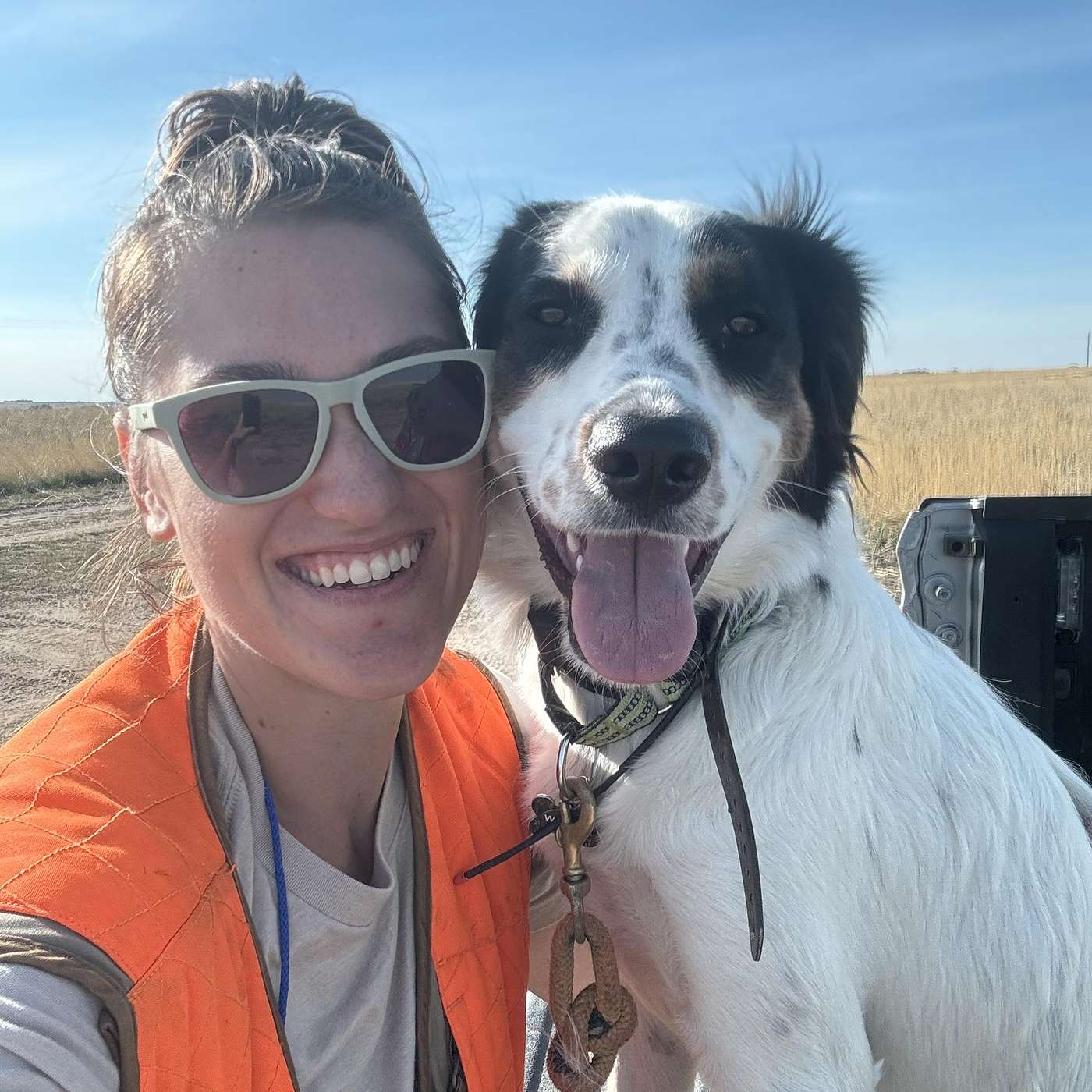 Doggy Cell Phones? Yep They Are A Thing Now