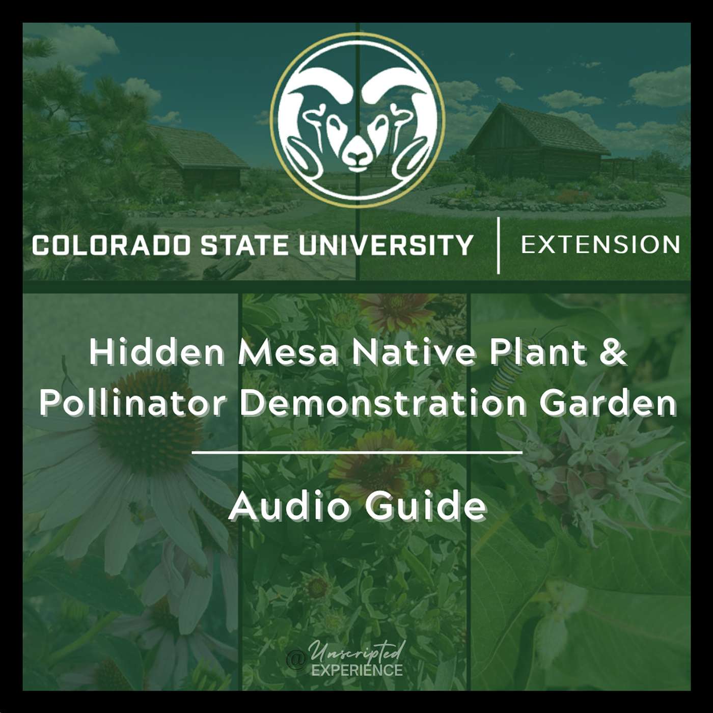Douglas County Master Gardeners | Colorado State University Extension
