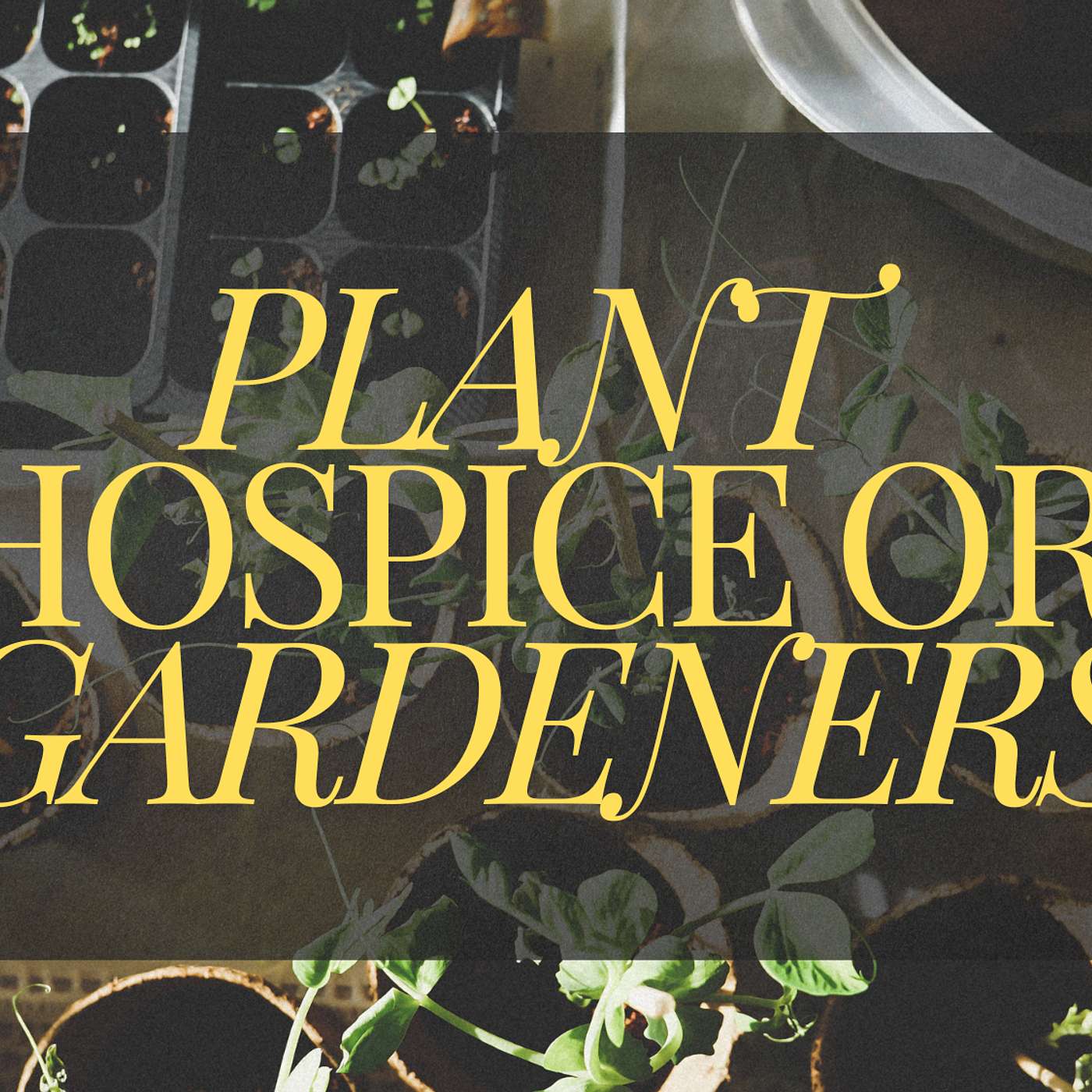 Plant Hospice Or Gardeners | Todd Slechta