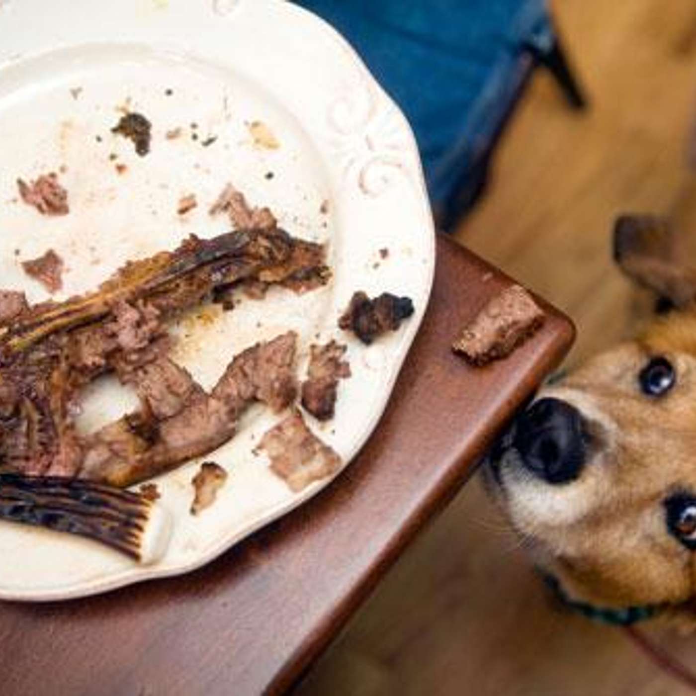 There is not enough hand sanitizer in the world... (A Treadweary Sermoncast)