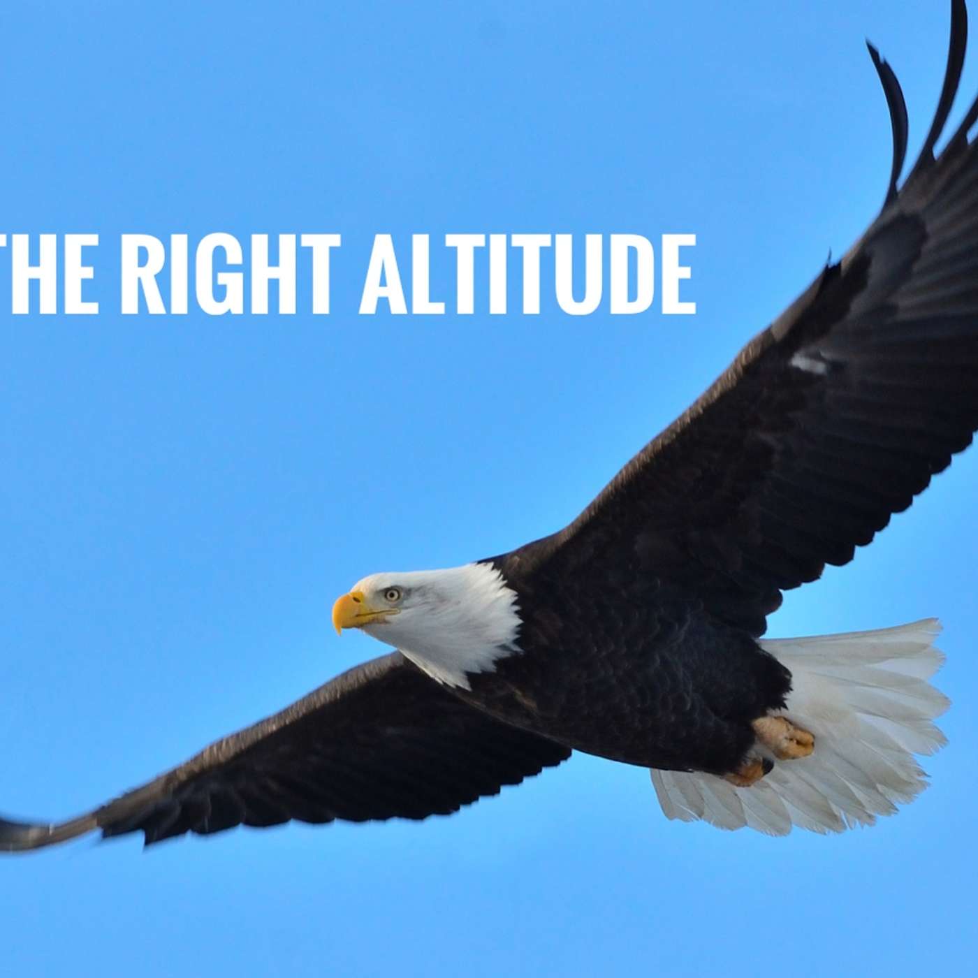 The Right Altitude episode artwork