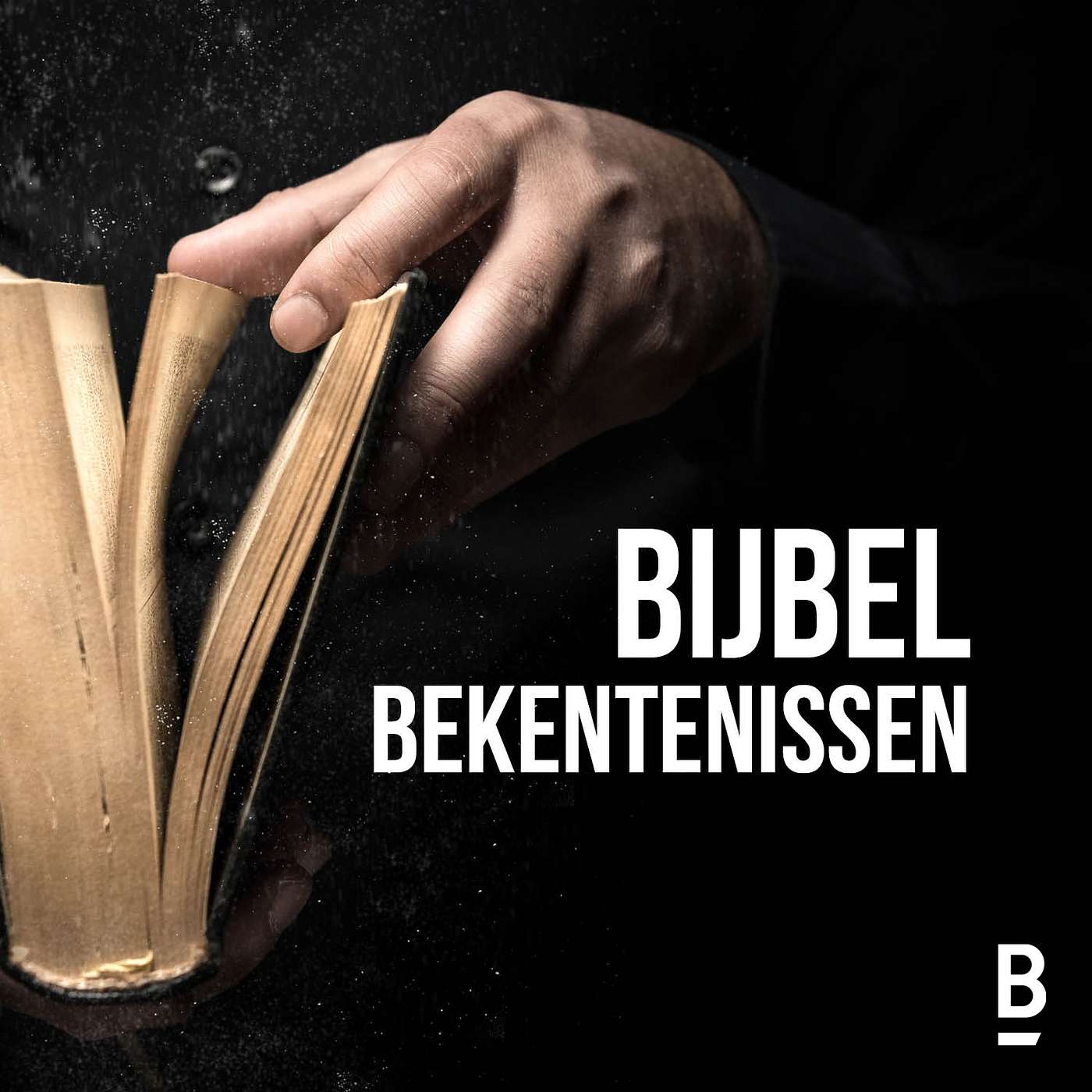 Bijbelbekentenissen Artwork