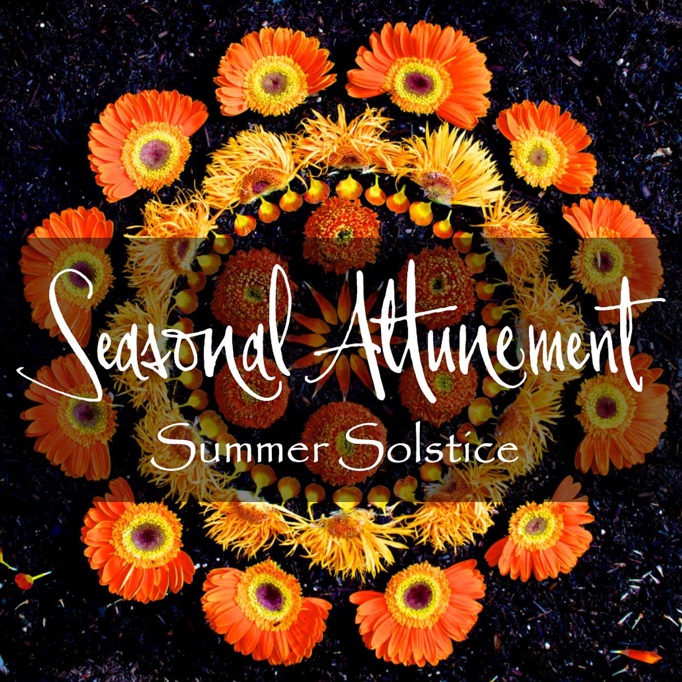 Alchemy with Bronwyn - Summer Solstice: Achieving Balance and Harmony with Seasonal Attunement