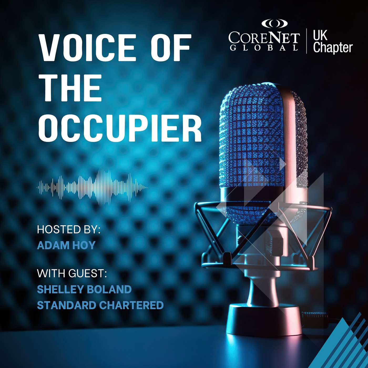 The Voice of the Occupier