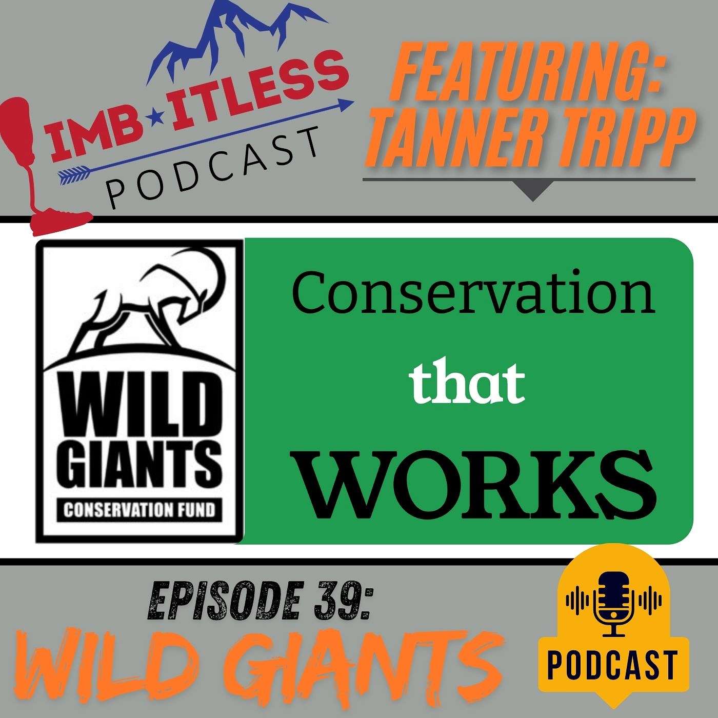 LIMBITLESS Podcast