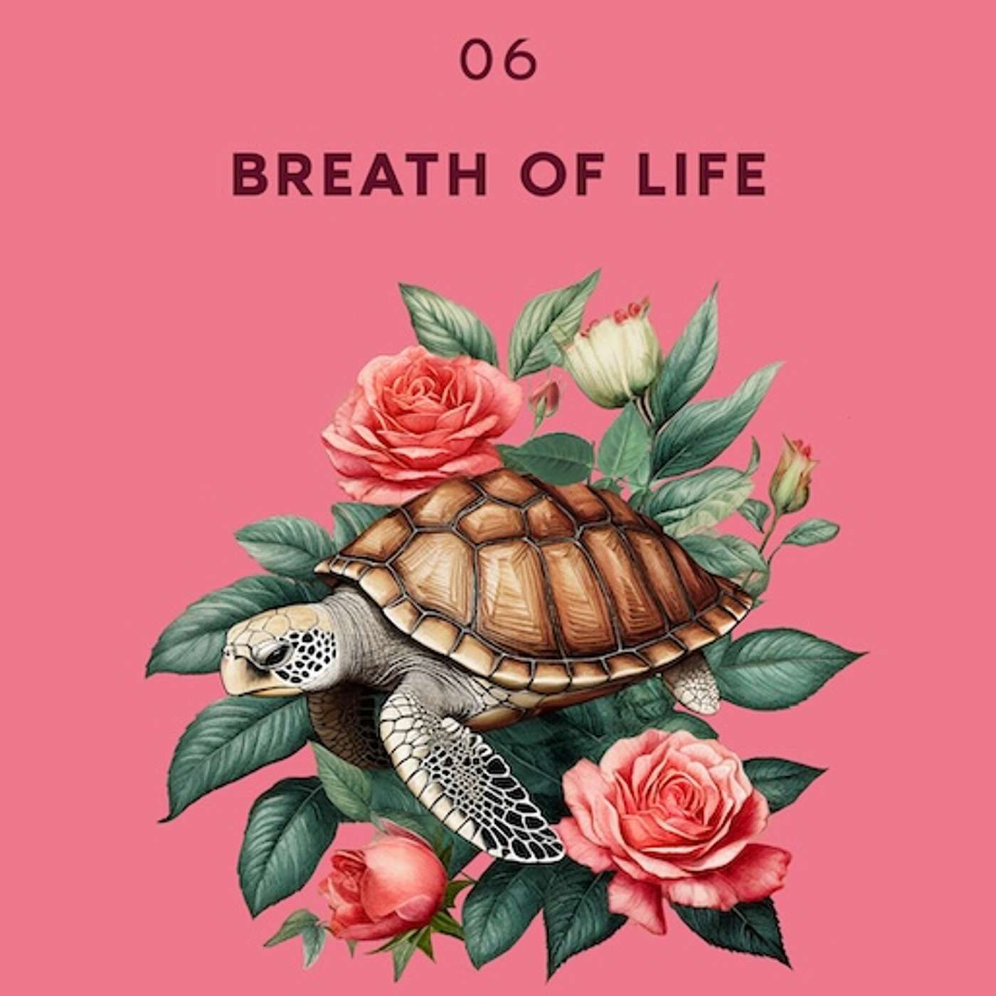 Season 2, Episode 6 - Breath of Life Season 2, Episode 6 - Breath of Life