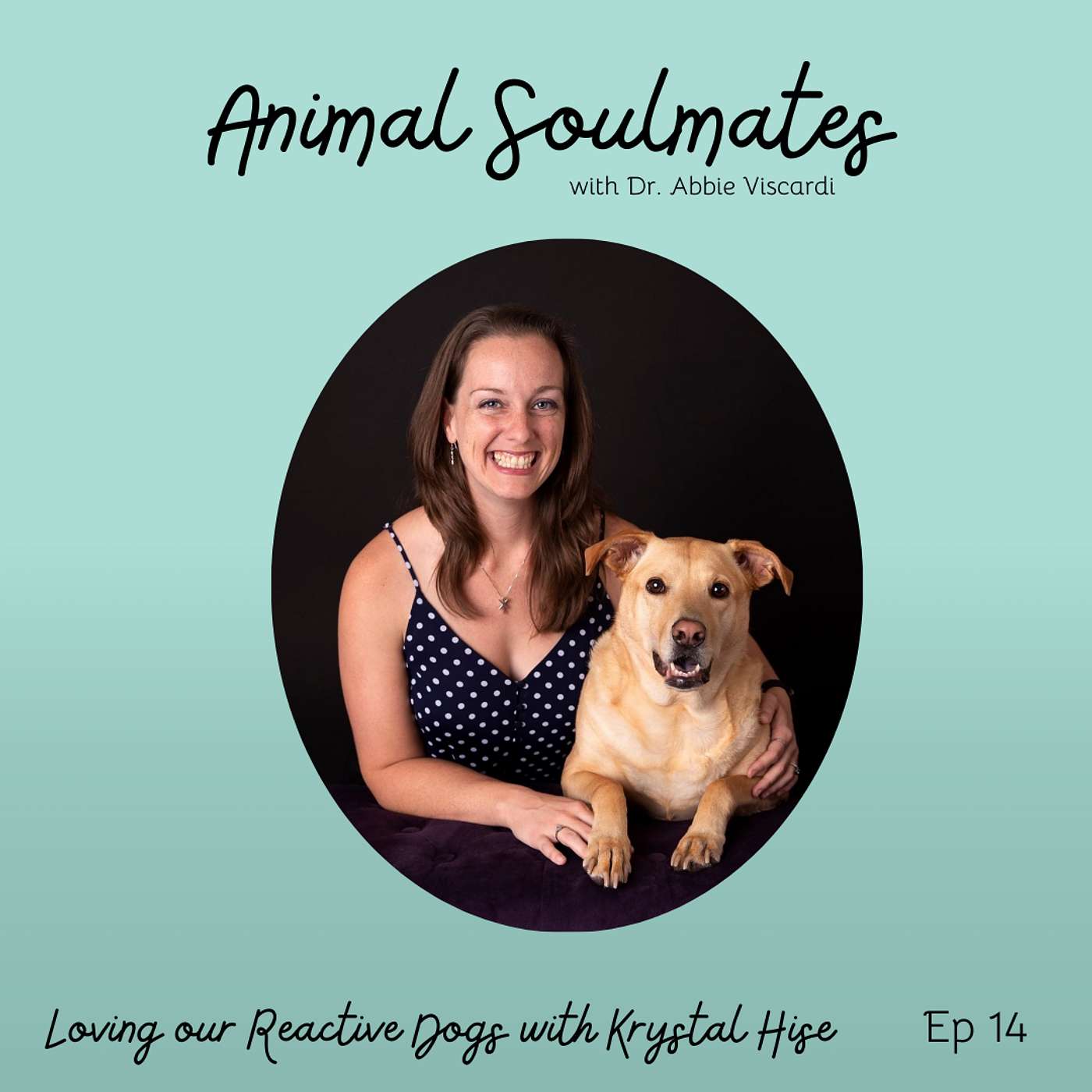 Animal Soulmates