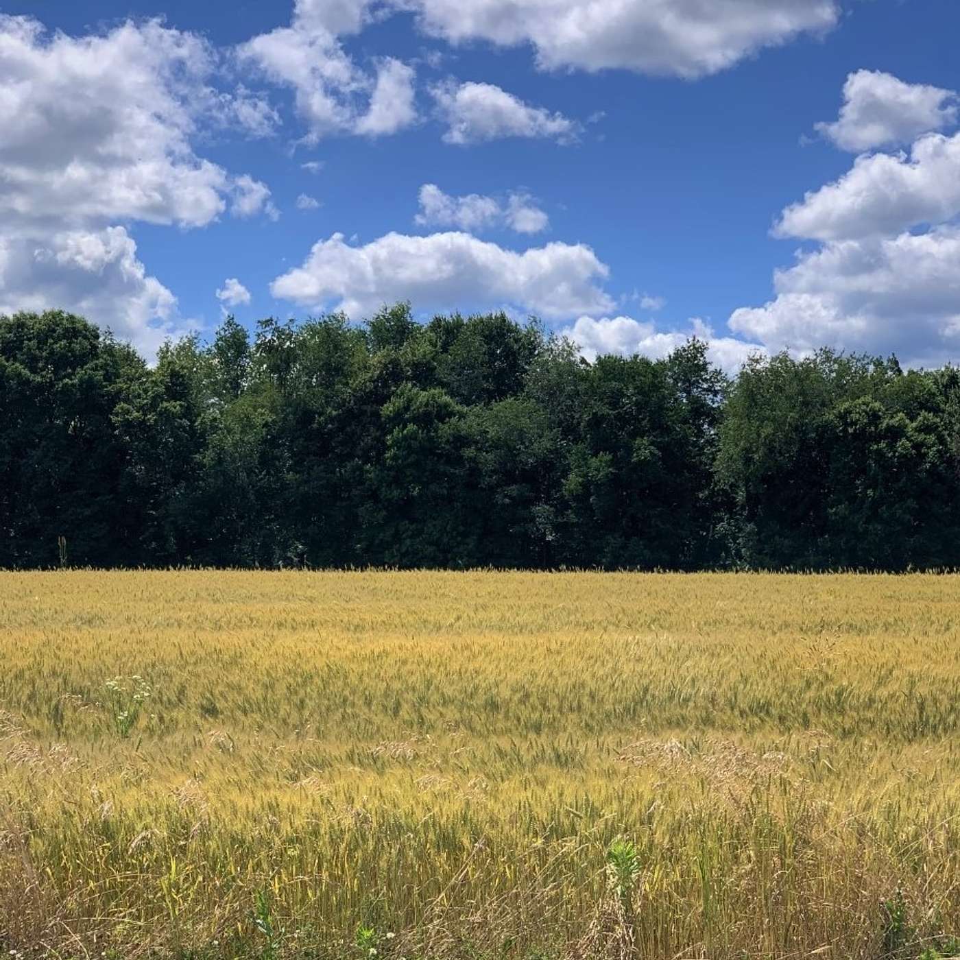 Agronomy Highlights