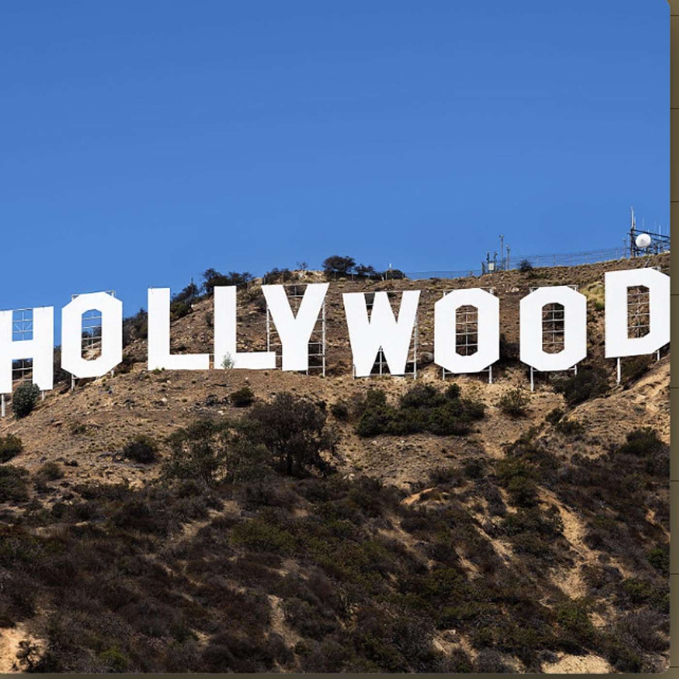 Cinema Chat With David Heath