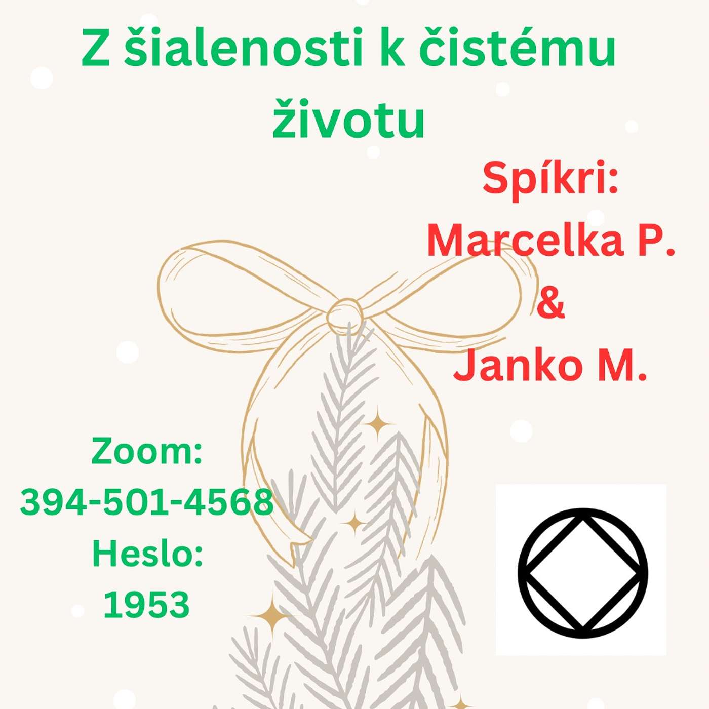 Vianočný míting 25.12. Janko M.Šialenosti k čistému životu episode artwork