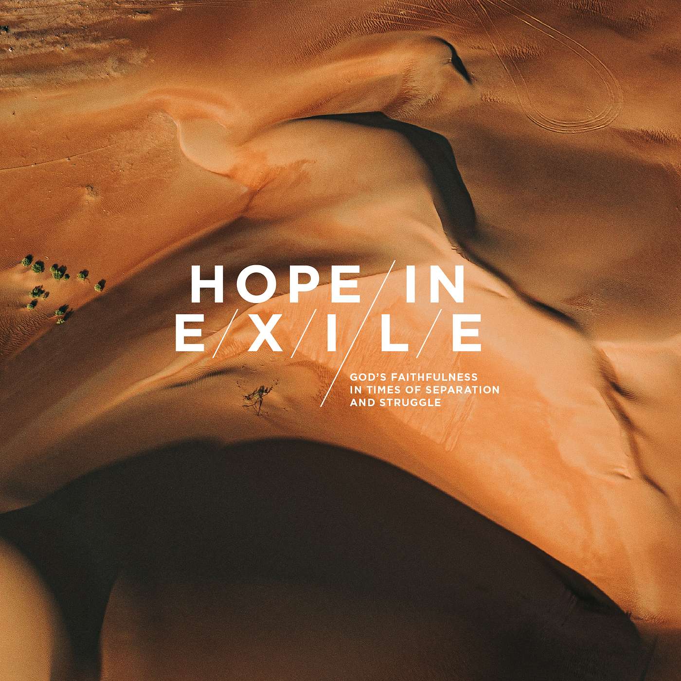 Providence in Exile