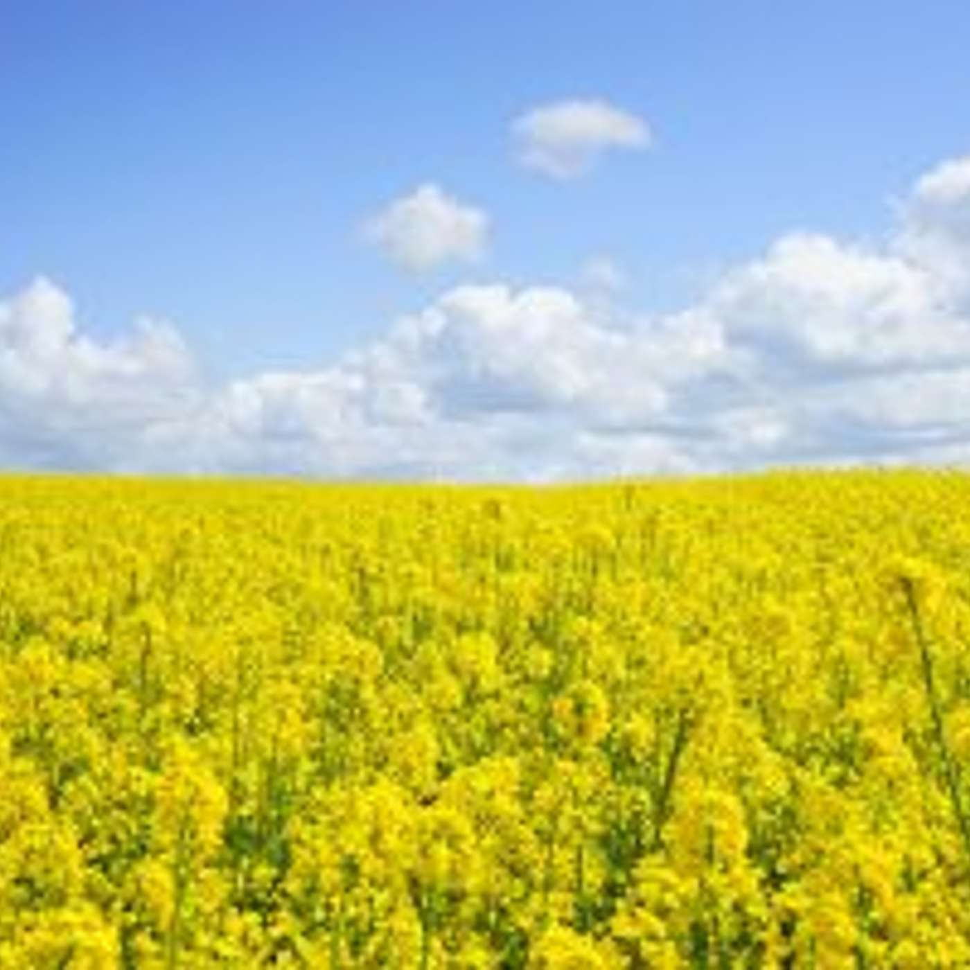 Achoo! Allergy Season Tips for Pilots and a Brief Introduction to HIMS