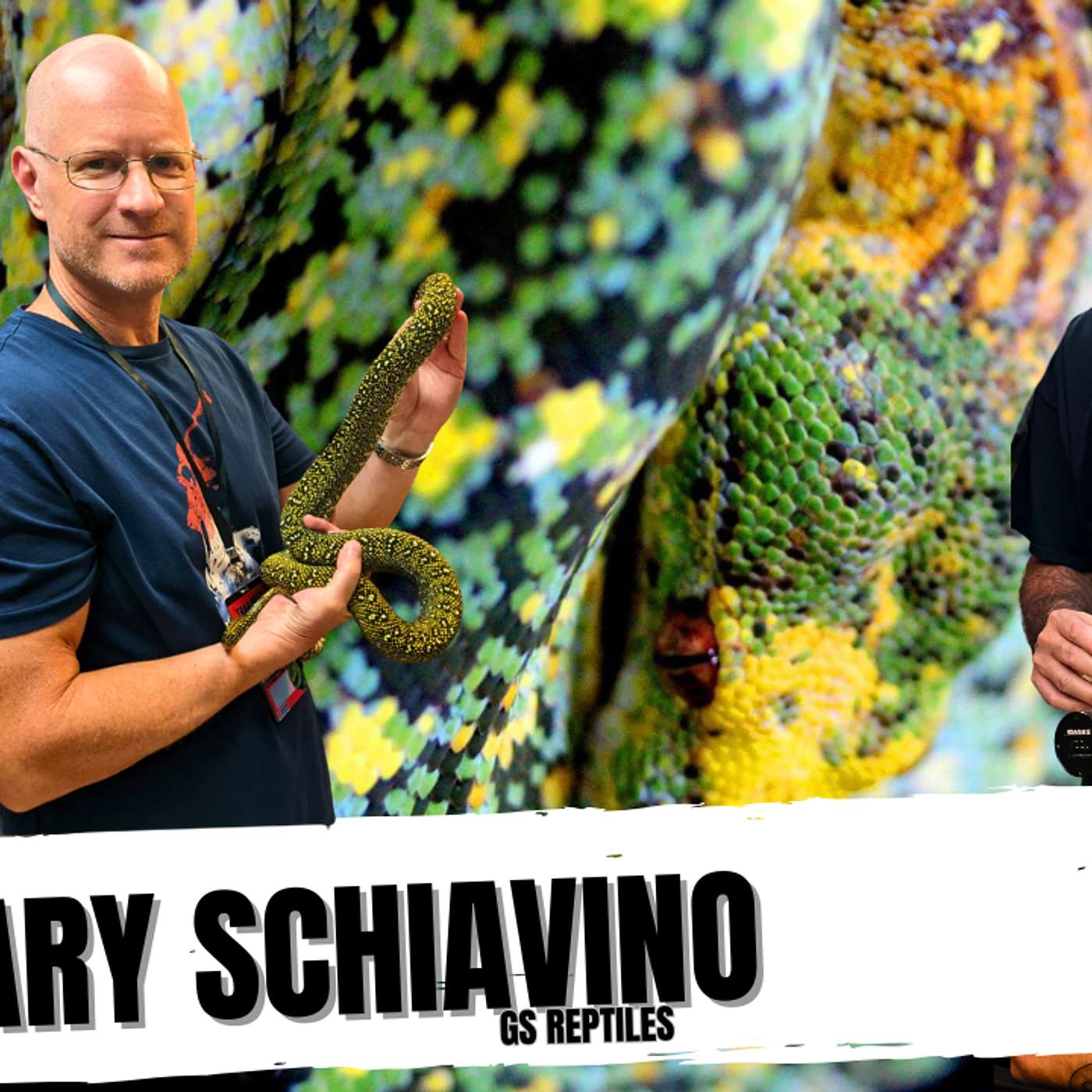 HOW GARY SCHIAVINO BECAME THE BEST REPTILE BROKER OF ALL TIME | ALL IN THE TREE TUESDAY LIVE