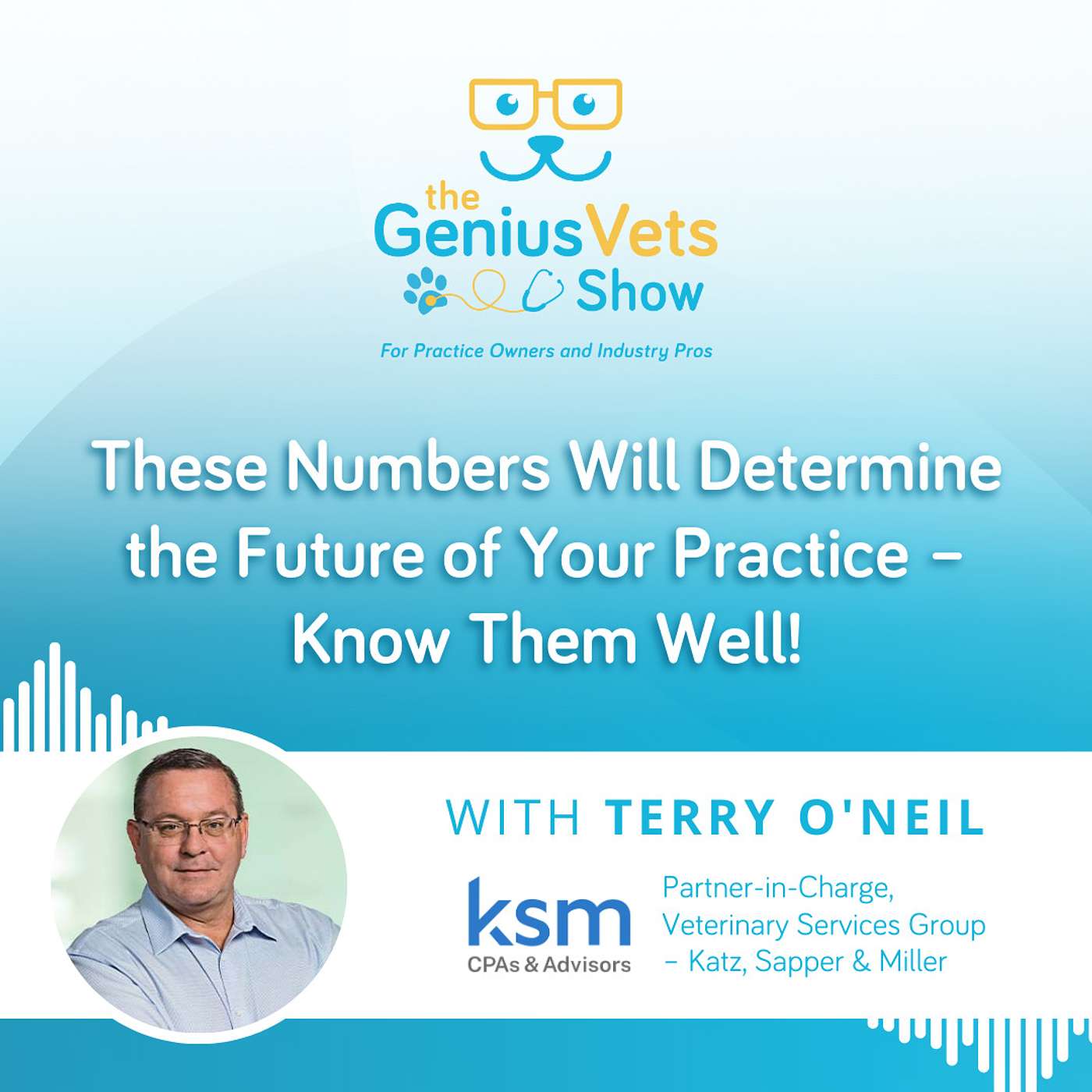 The GeniusVets Show - For Practice Owners and Industry Pros