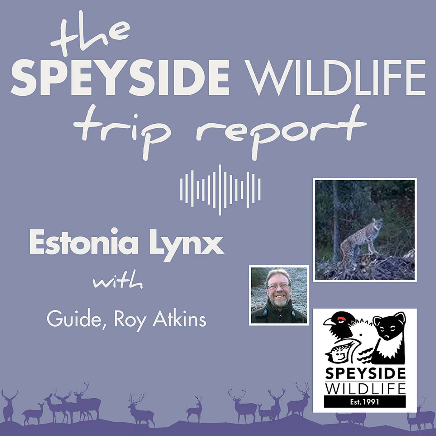 The Speyside Wildlife Trip Report