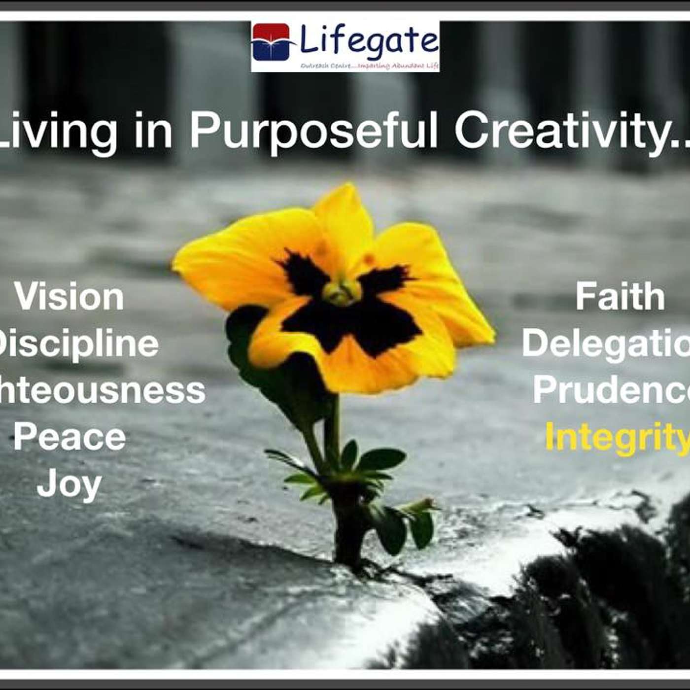 The Creative Lifestyle of Integrity 1 -271019 episode artwork