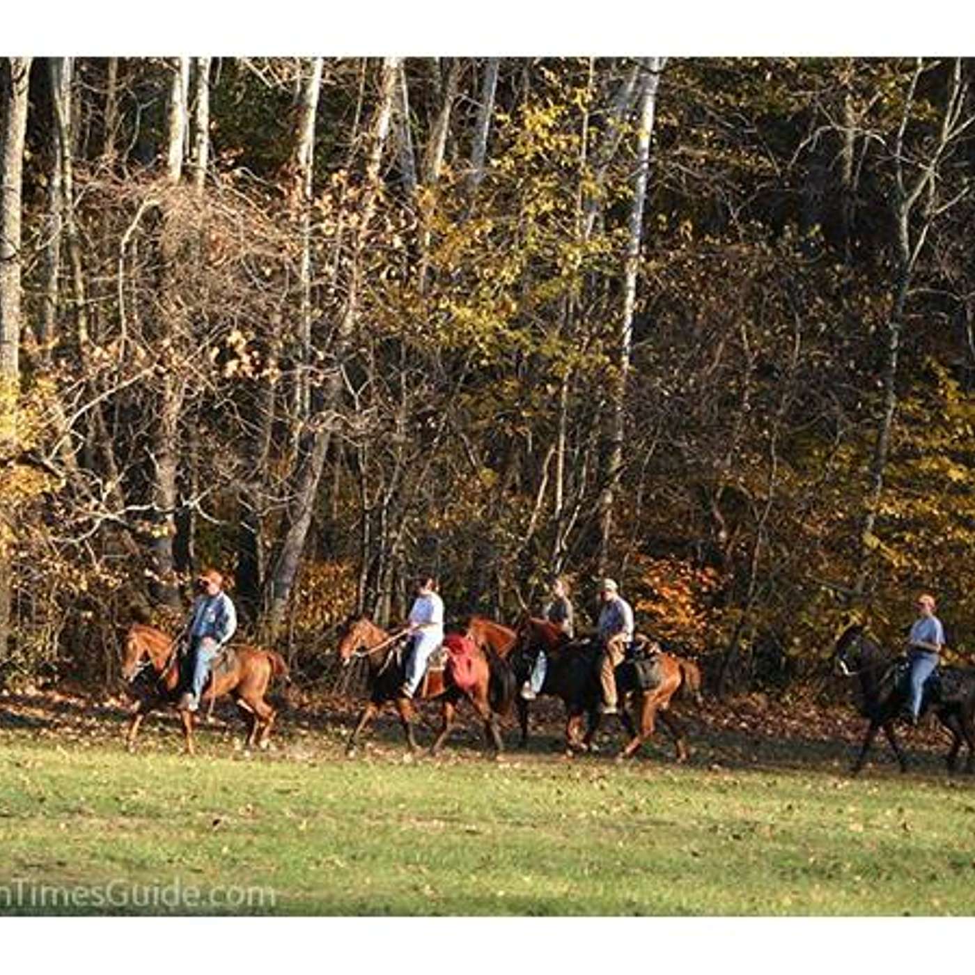 NATCHEZ TRACE Horse Camp and Tips for the Trail on SADDLE UP AMERICA!