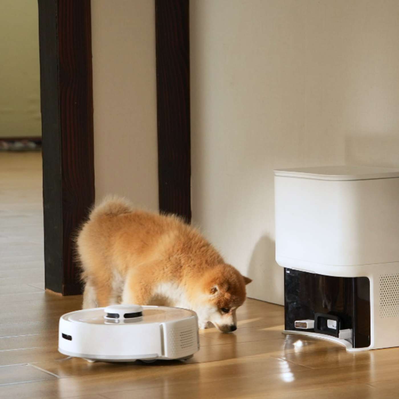 The best mini robot vacuum for pet owners
