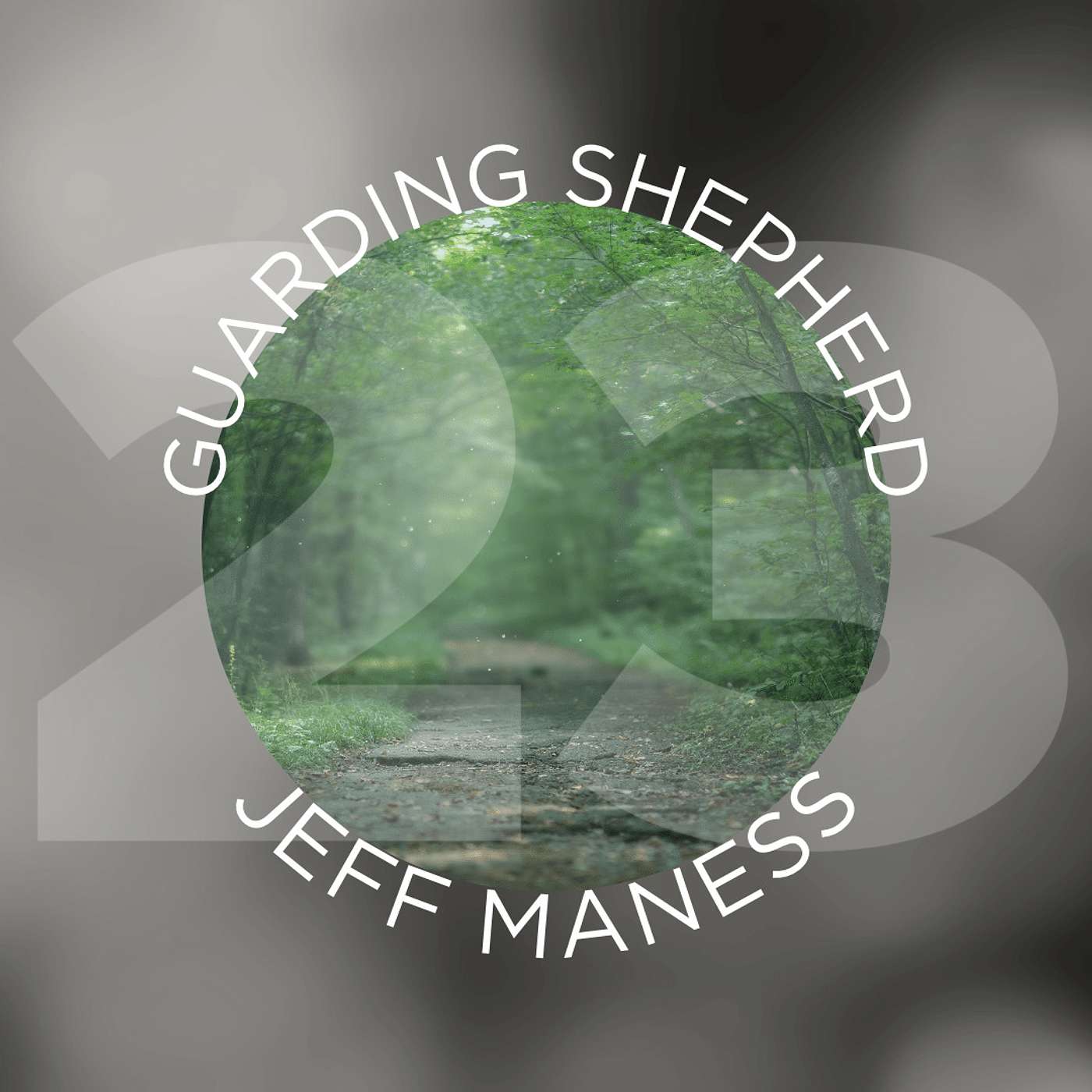 23: Guarding Shepherd