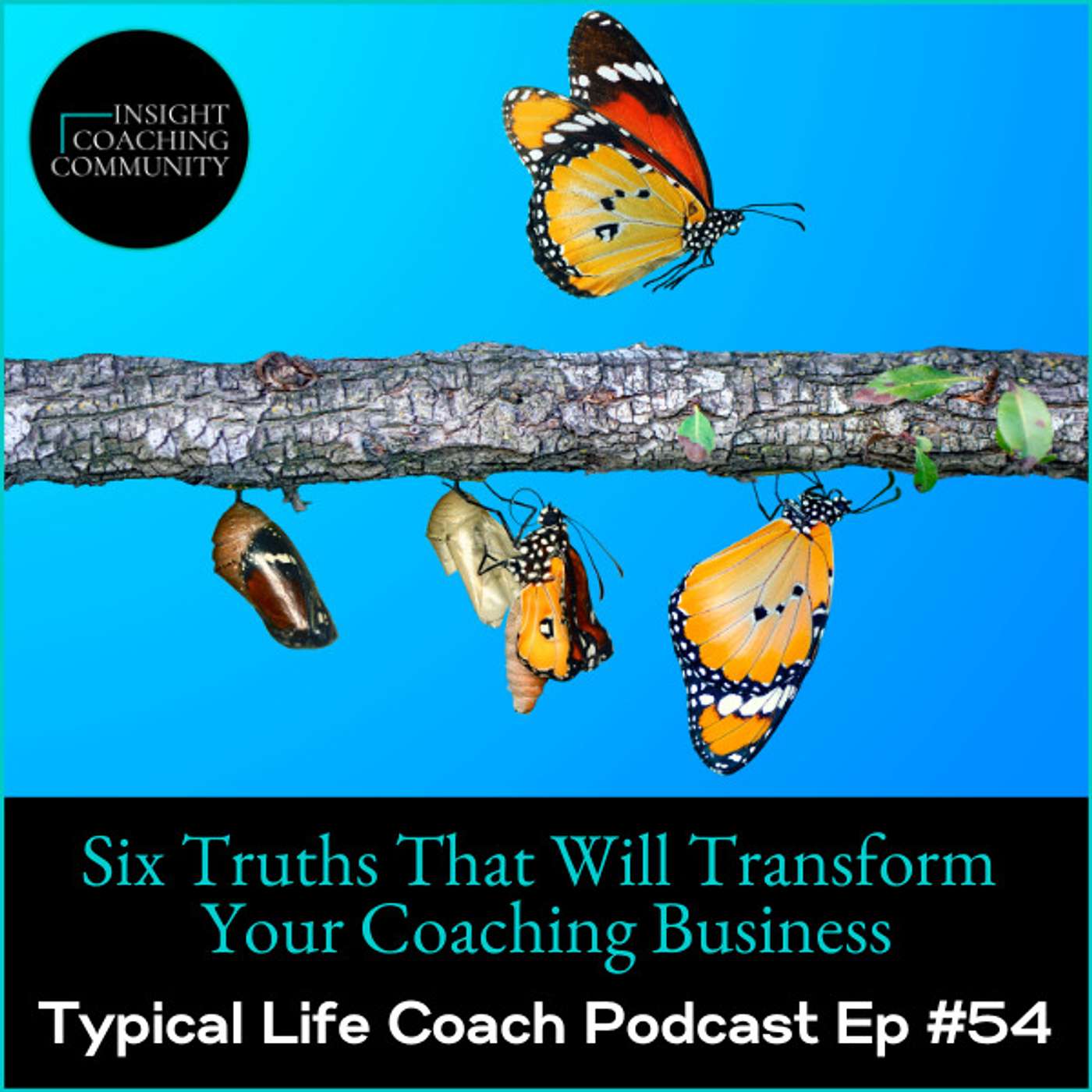 Typical Life Coach Podcast