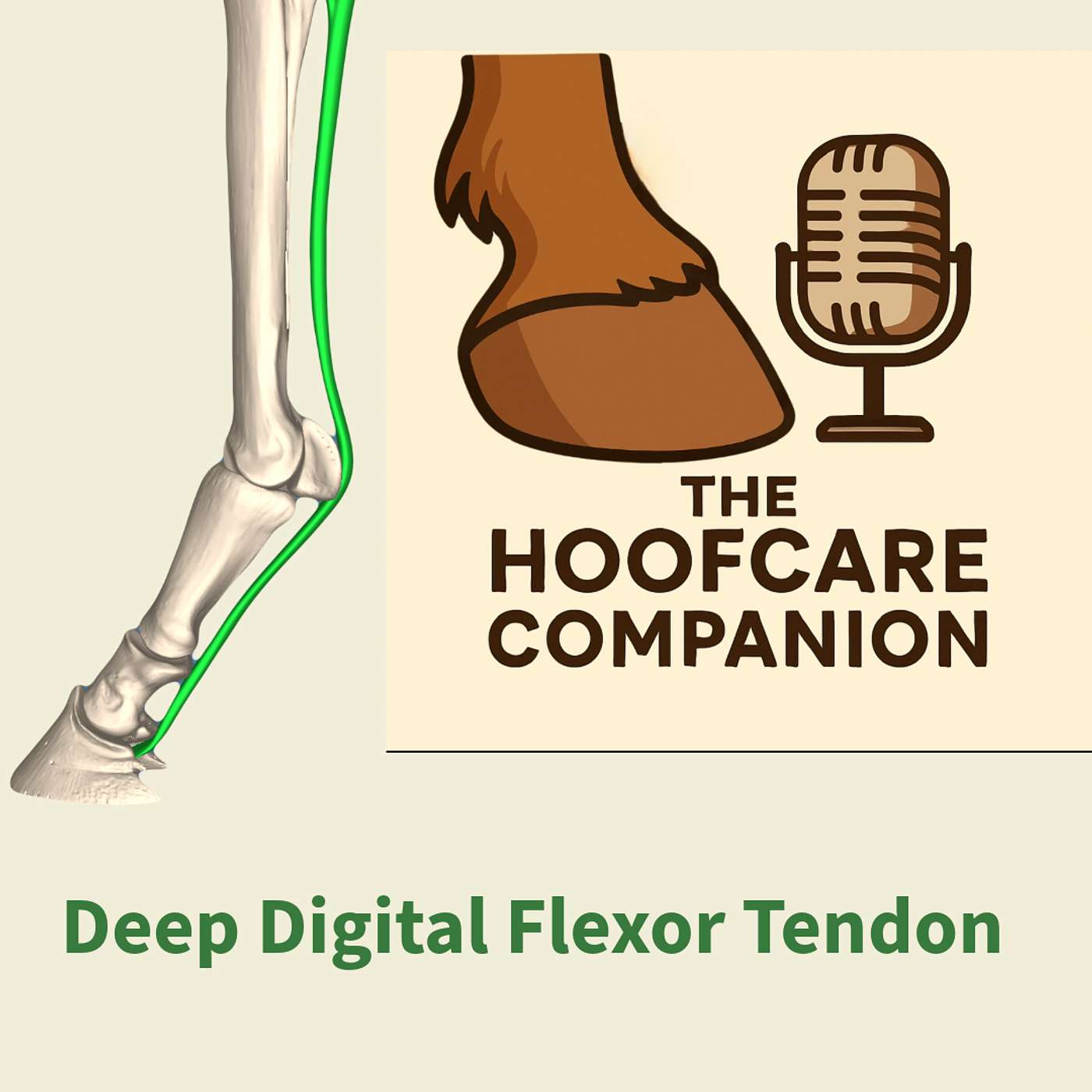 The Hoofcare Companion