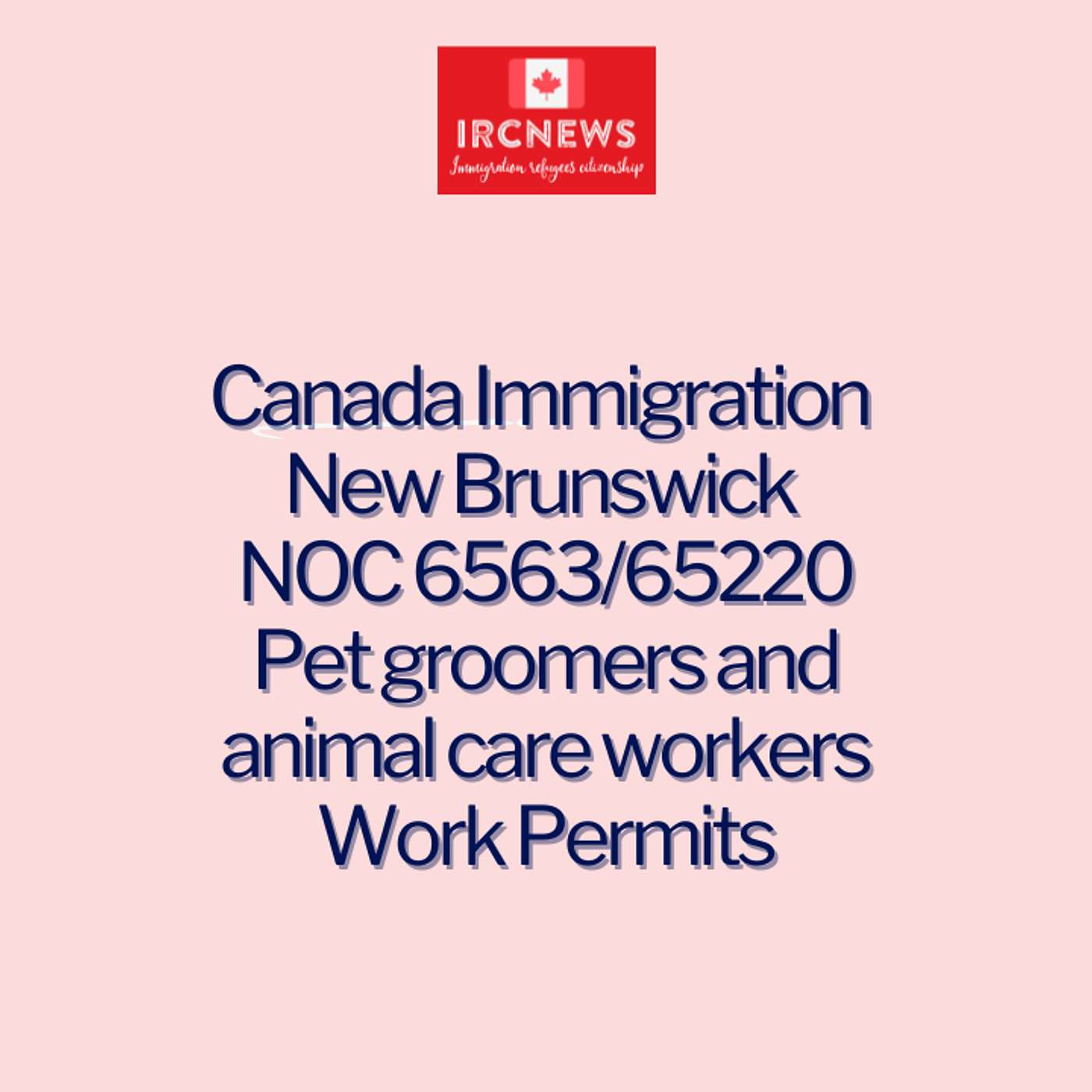 Canada Immigration New Brunswick NOC 6563/65220 Pet groomers and animal care workers Work Permits episode artwork