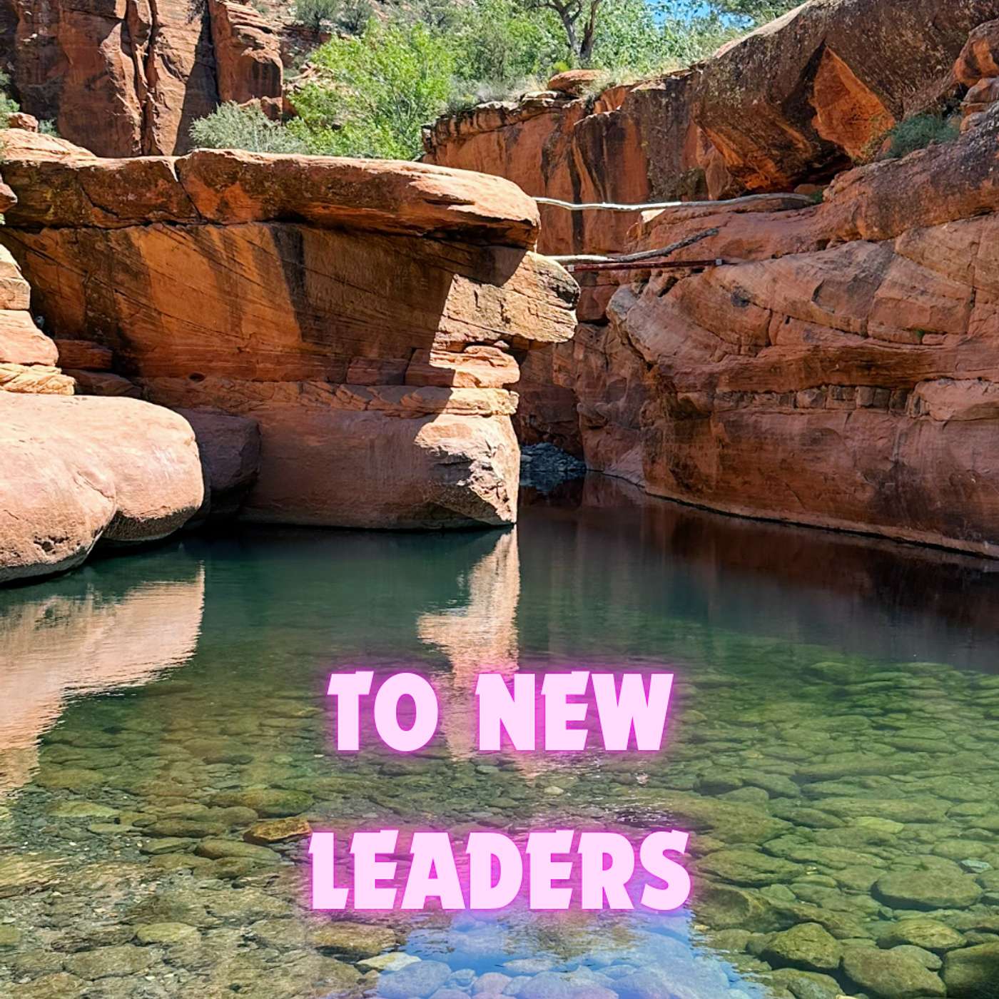 Advice to New Leaders in Dark Times (Wayshowers)