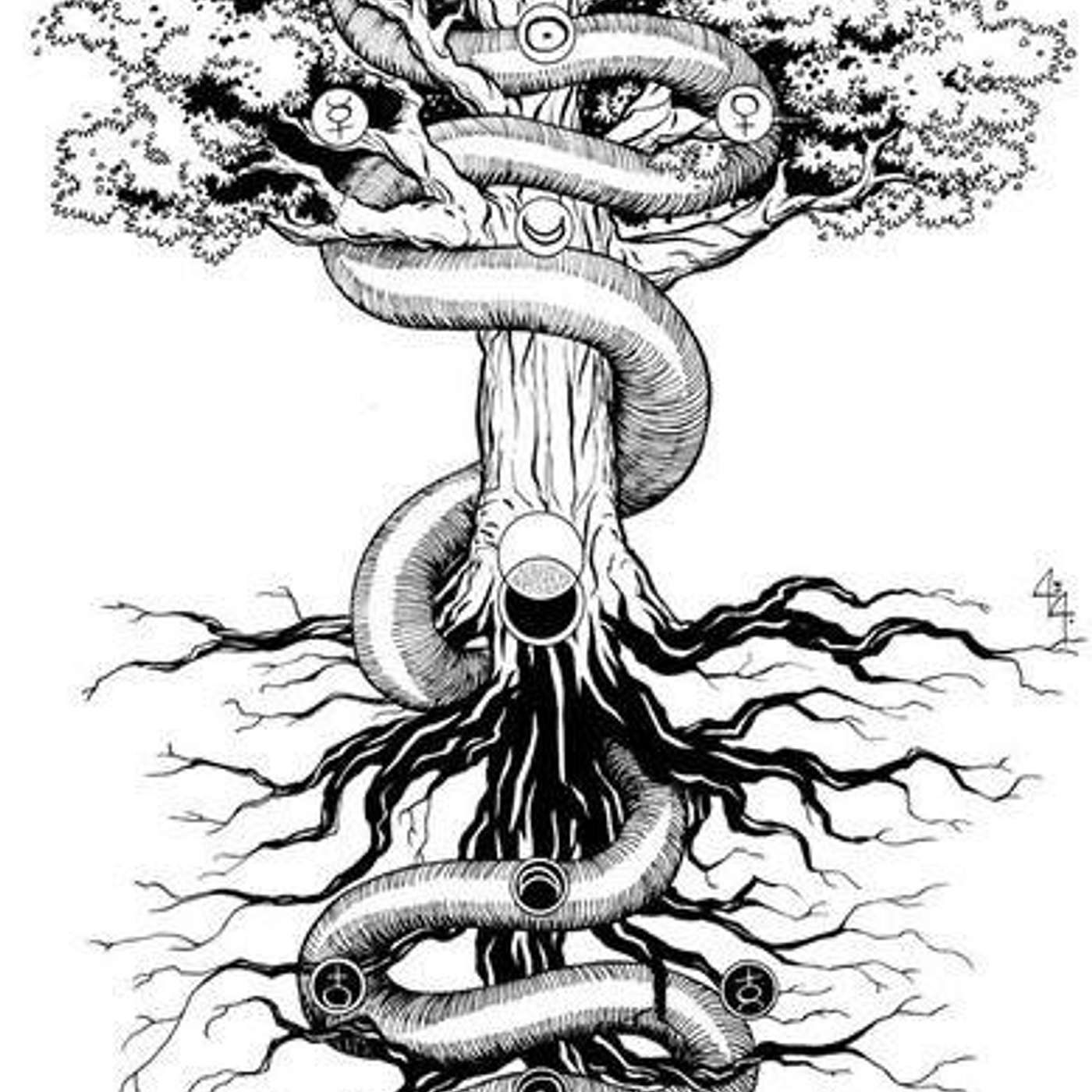 Episode  #316 Readings & Riffs #246 Your Thousand Limbs