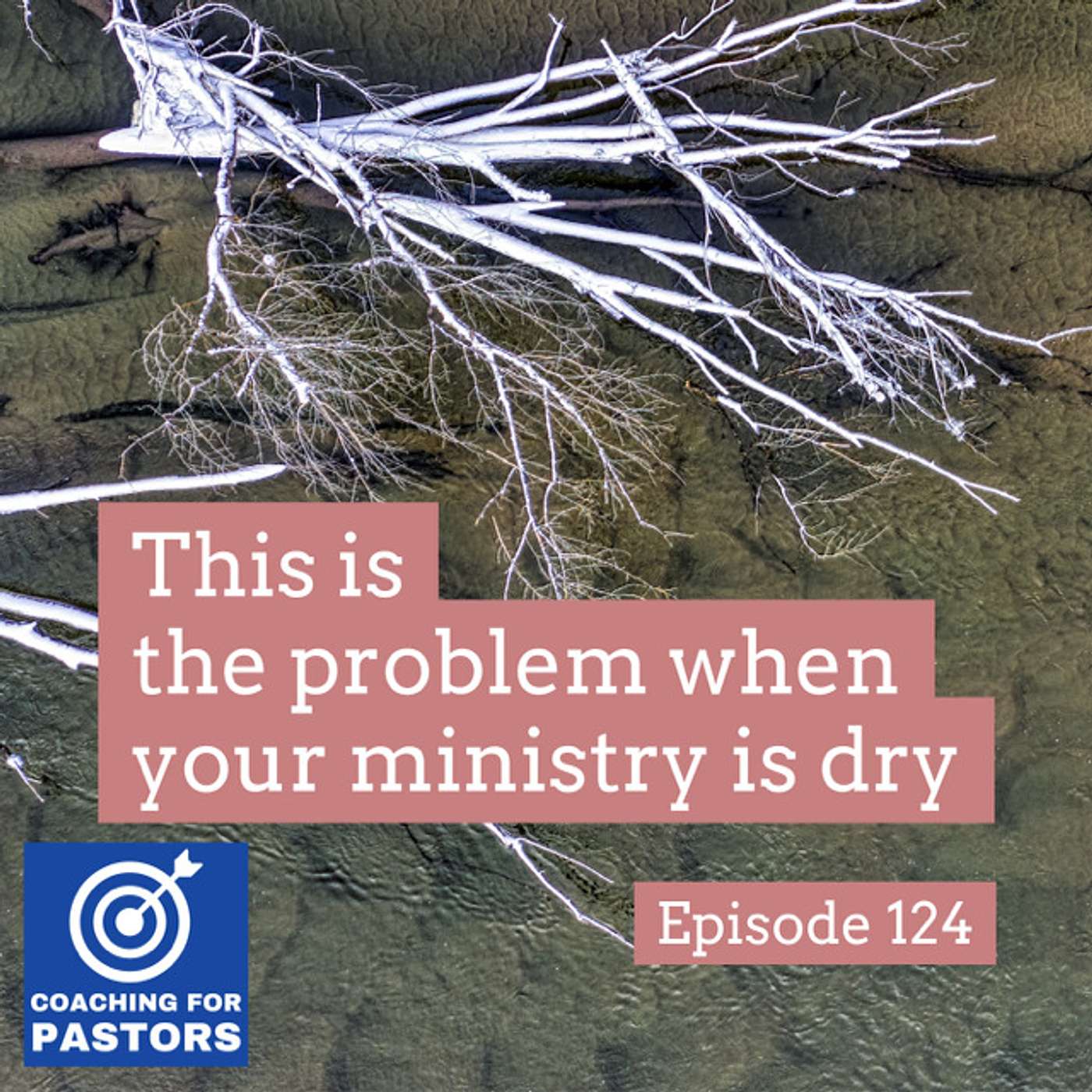 Coaching For Pastors - Daily Coaching, Encouragement, and Support for Pastors