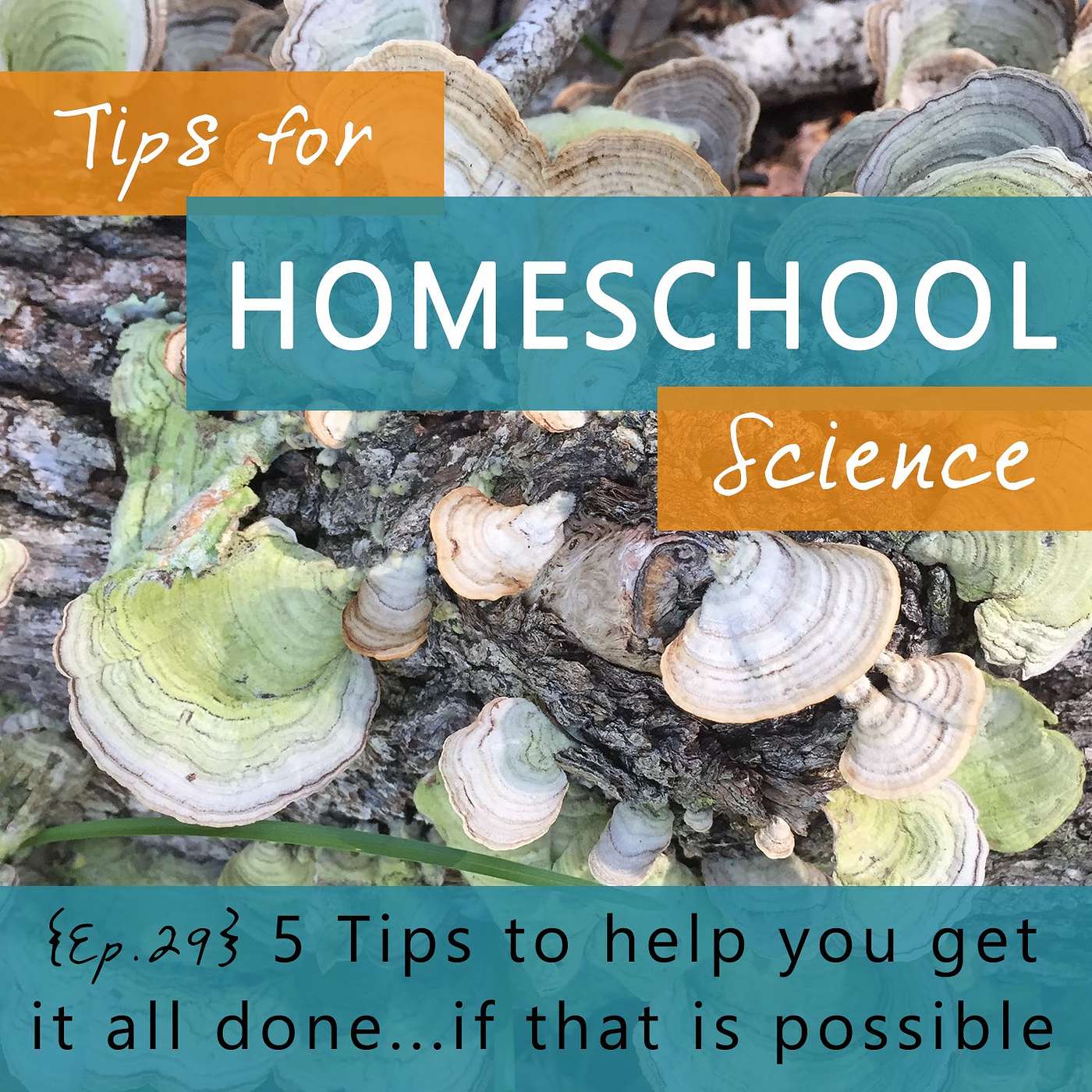 Ep 29 - 5 Tips to help you get it all done - if that's even possible...