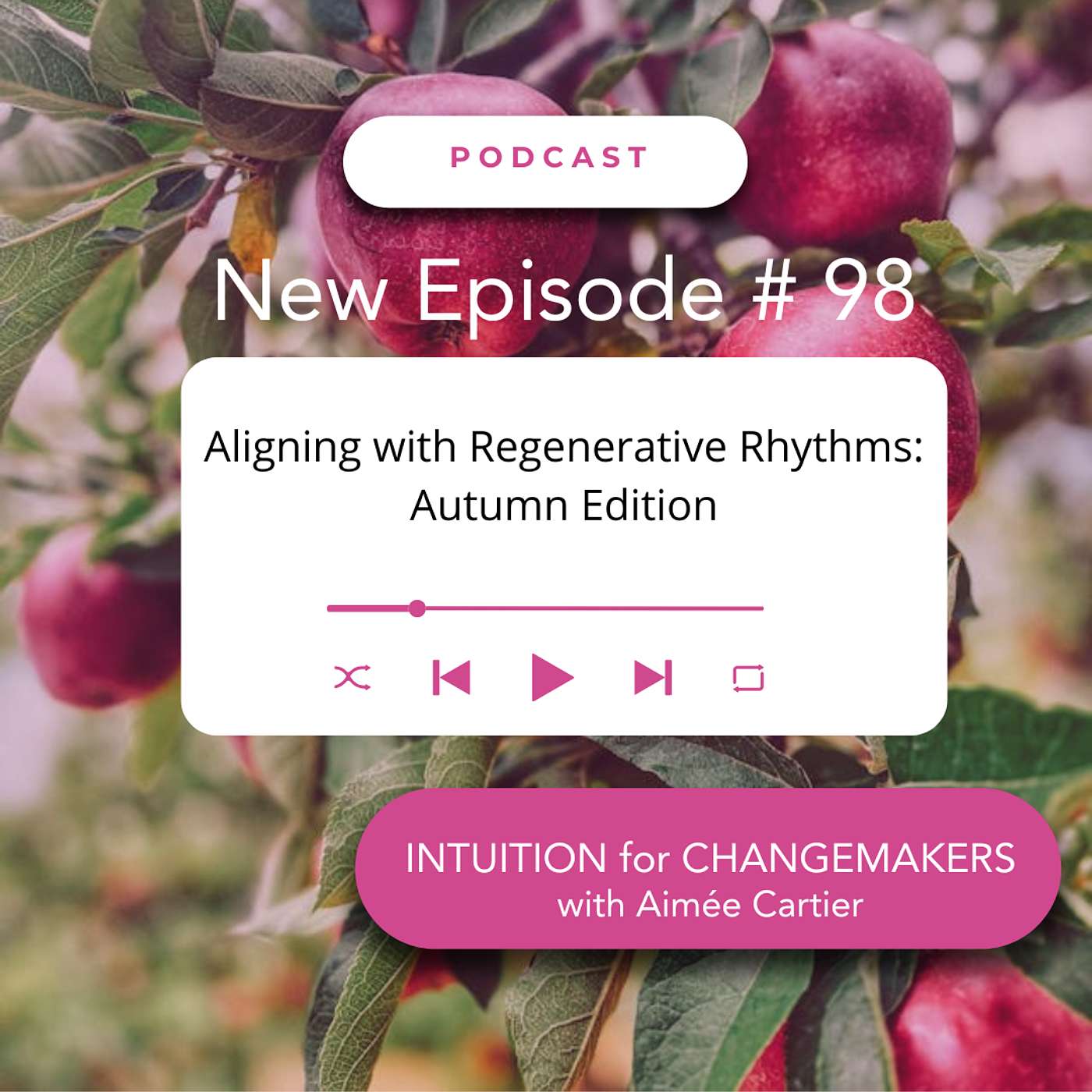 98. Aligning with Regenerative Rhythms: Autumn Edition