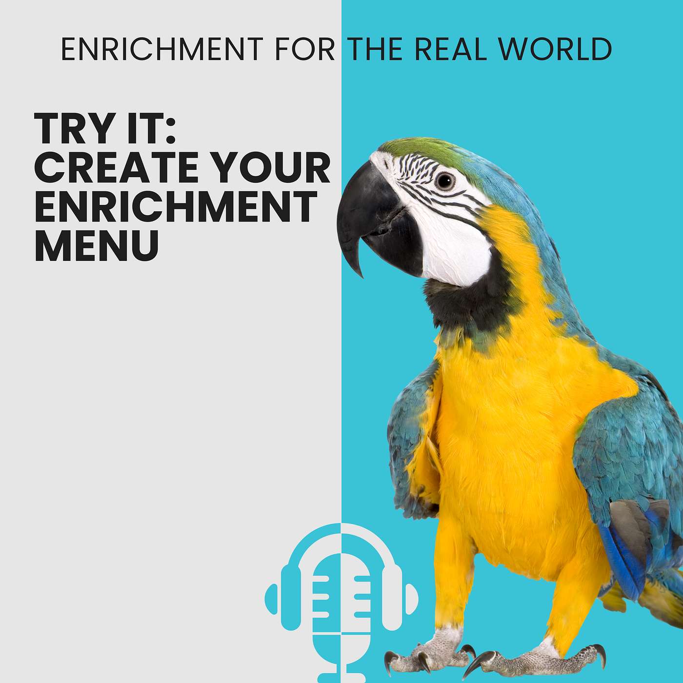 #146 - Try It: Create Your Enrichment Menu