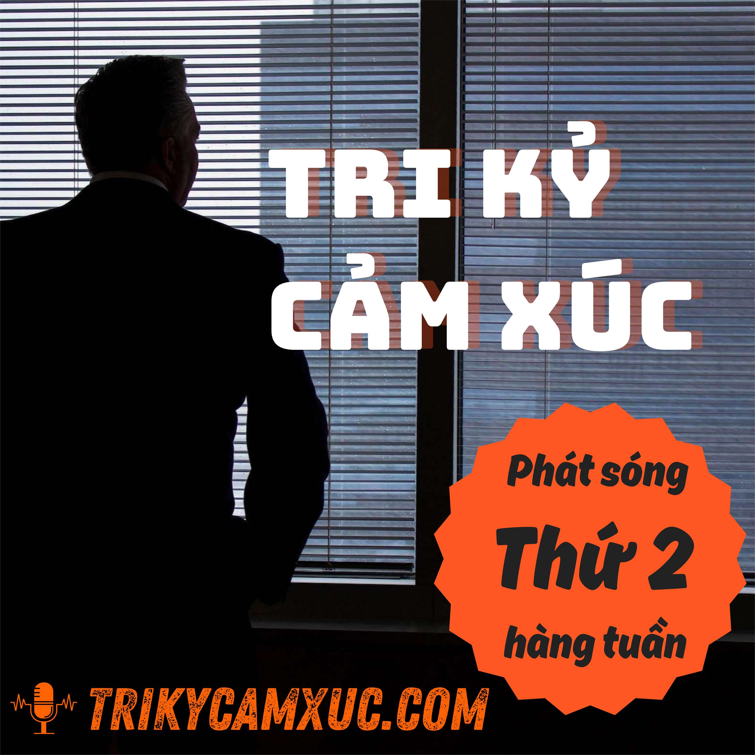 Tri Kỷ Cảm Xúc cover