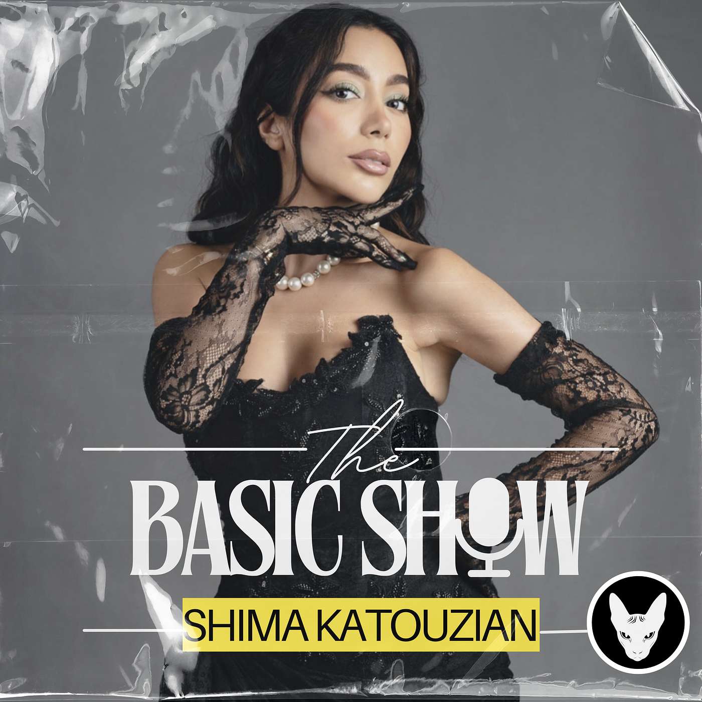 The BASIC Show