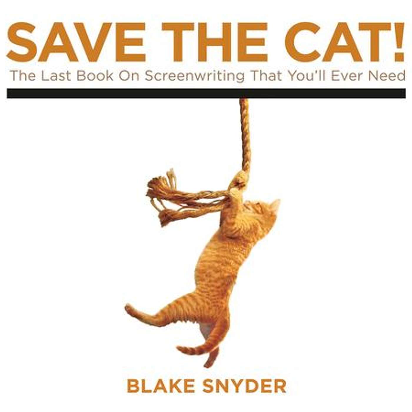 A Check List to Know if Your Screenplay Works! episode artwork