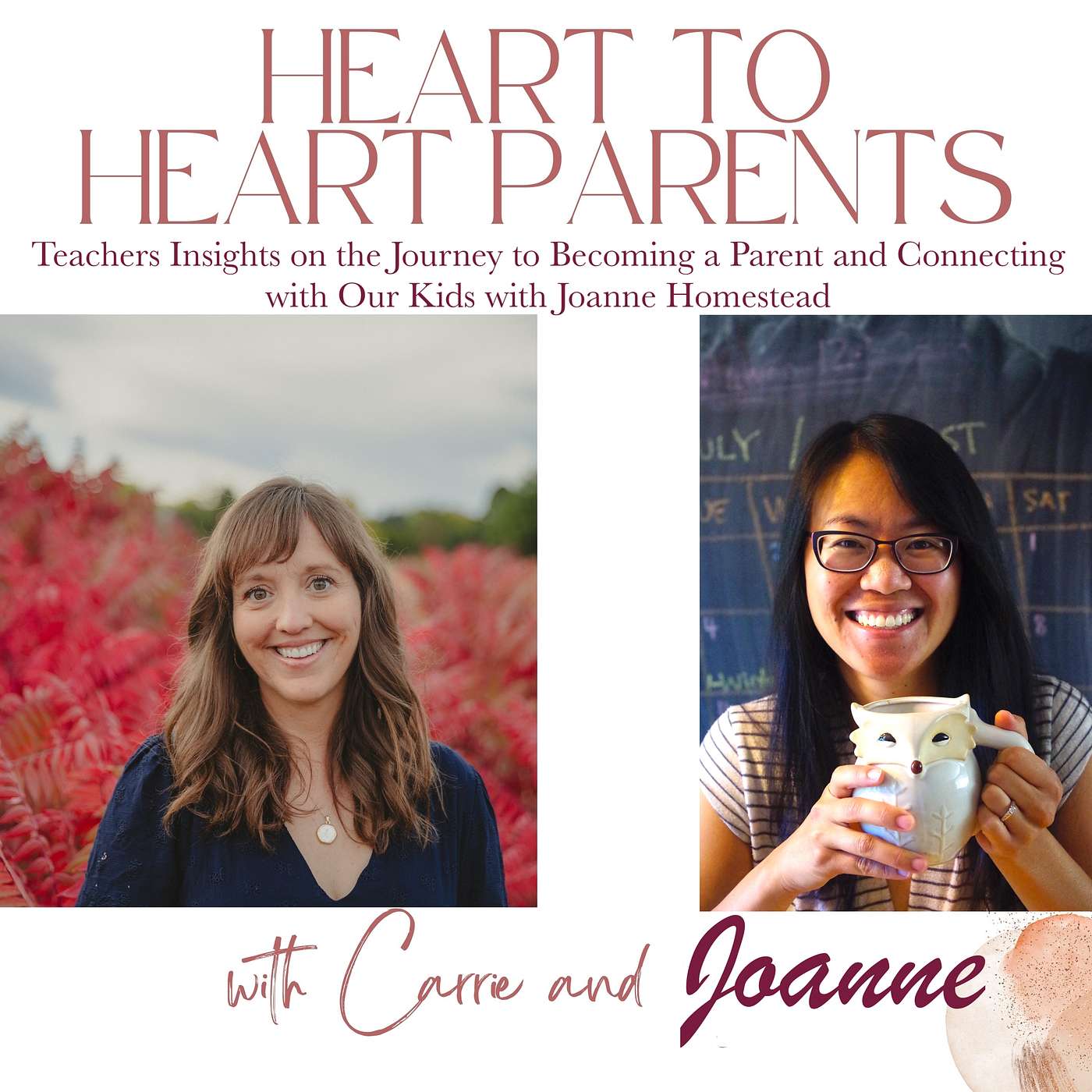 Teachers Insights on the Journey to Becoming a Parent and Connecting with Our Kids with Joanne Homestead episode artwork