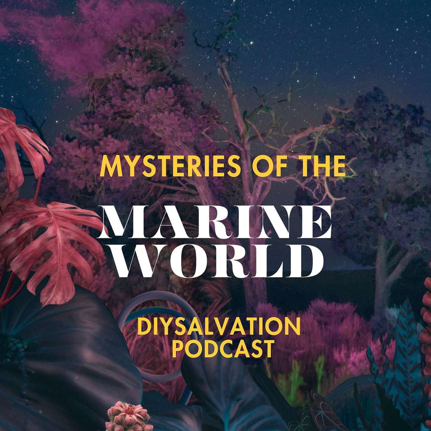 DIYSalvation