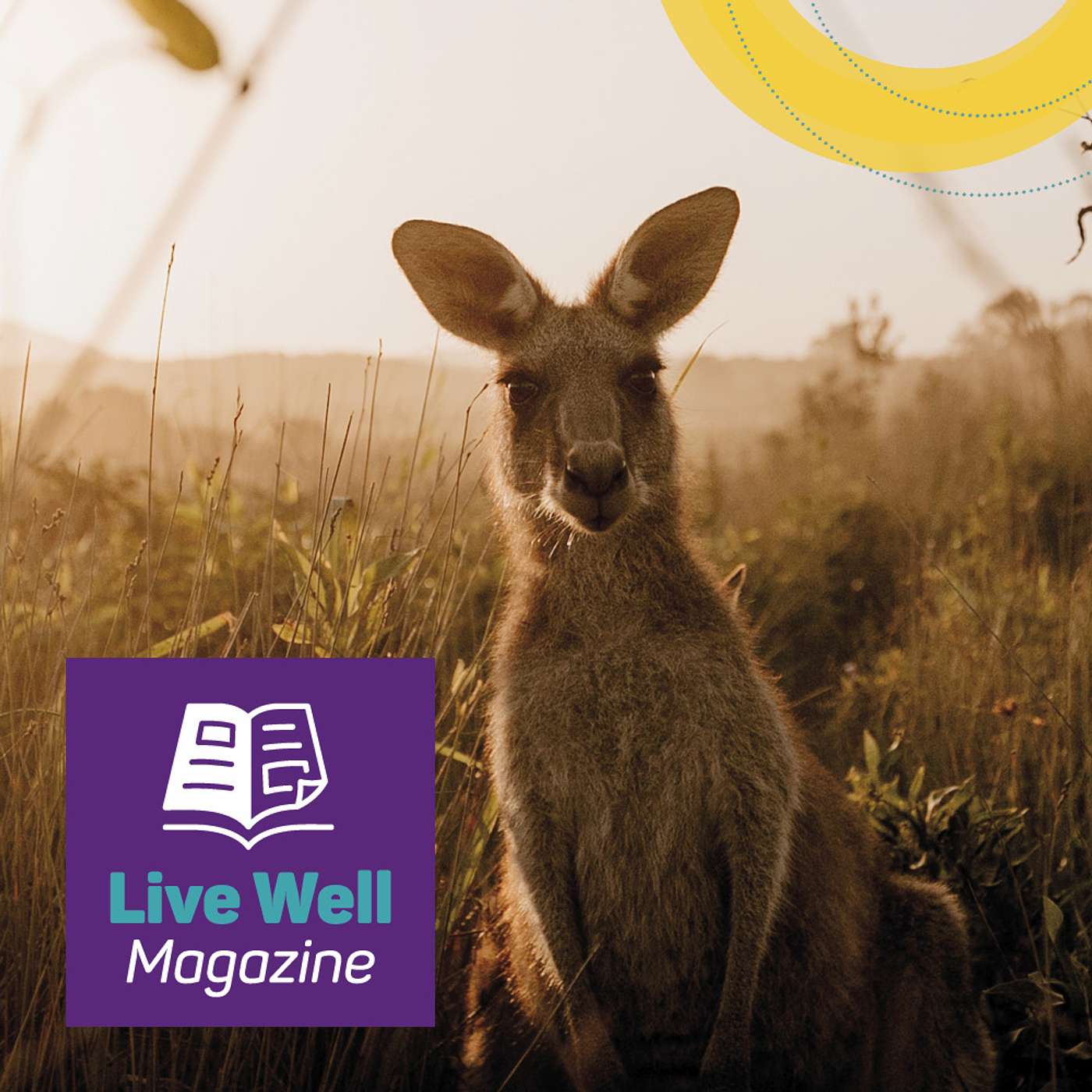 Live Well Podcast | Health and Wellbeing Journeys in Regional, Rural & Remote areas