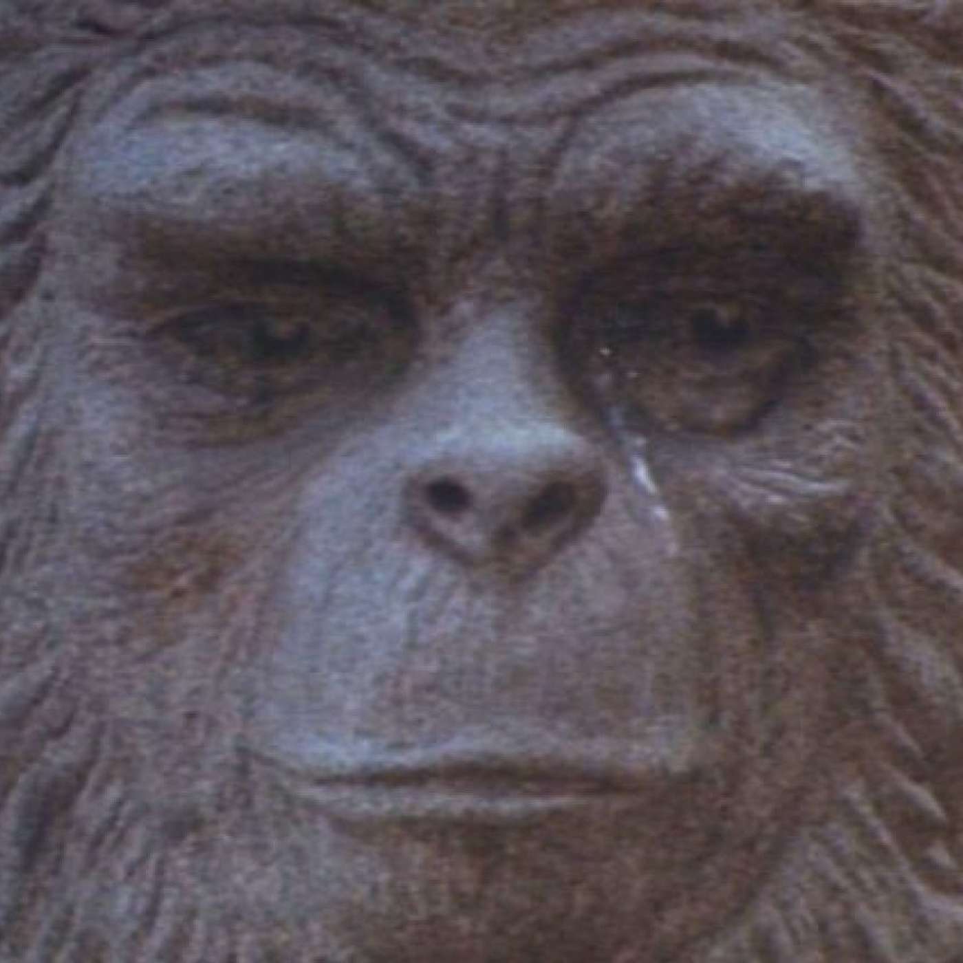 000 - Battle for the Planet of the Apes (1973) - Supplemental Commentary Track episode artwork