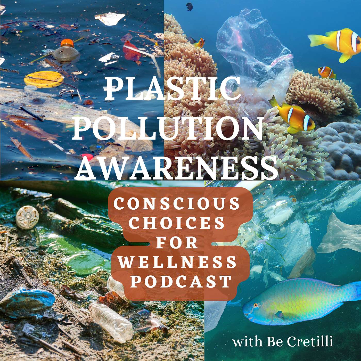 Microplastic Pollution in Us episode artwork