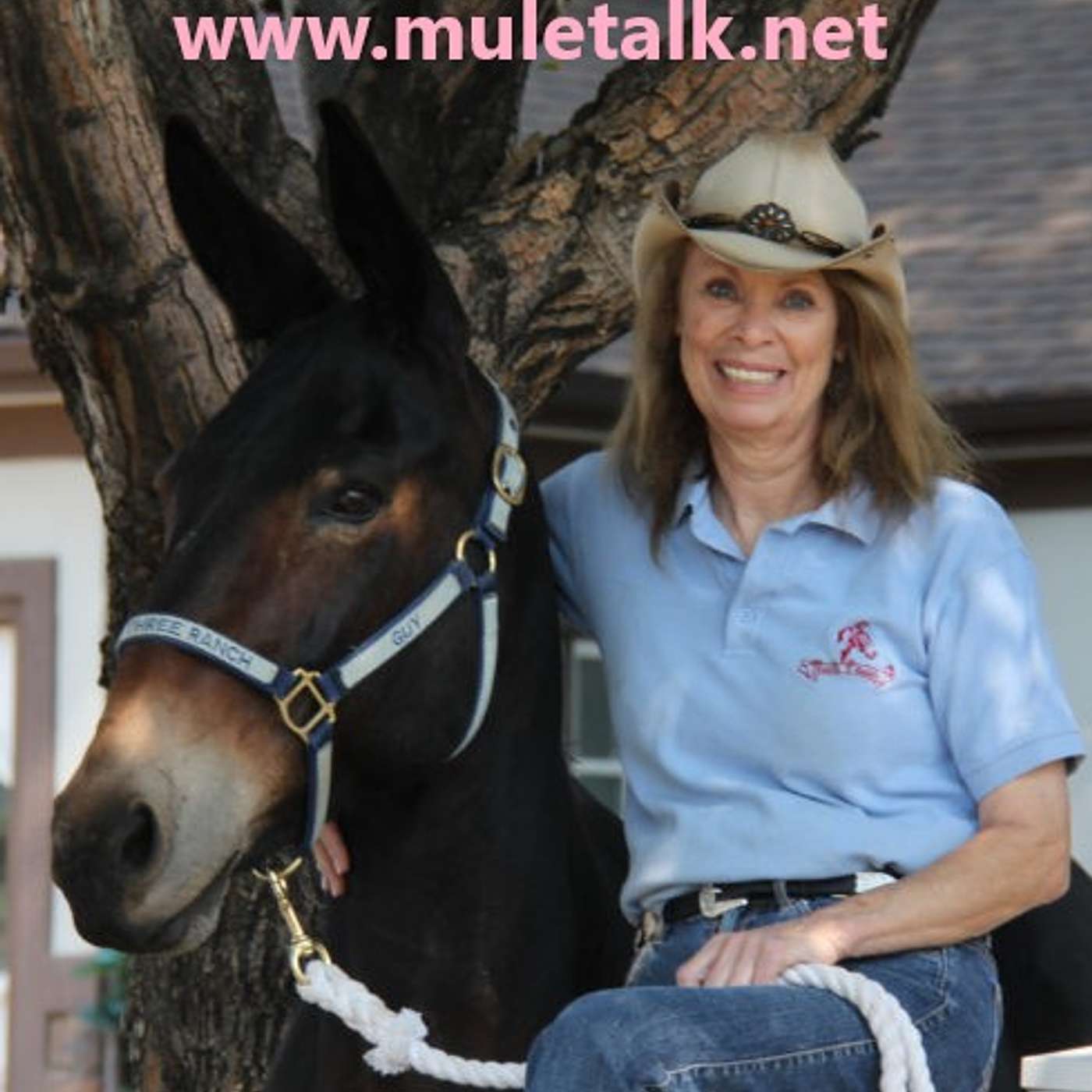 MULE TALK! THE PODCAST ABOUT MULES, MULE TRAINING, AND THE MULE INDUSTRY.