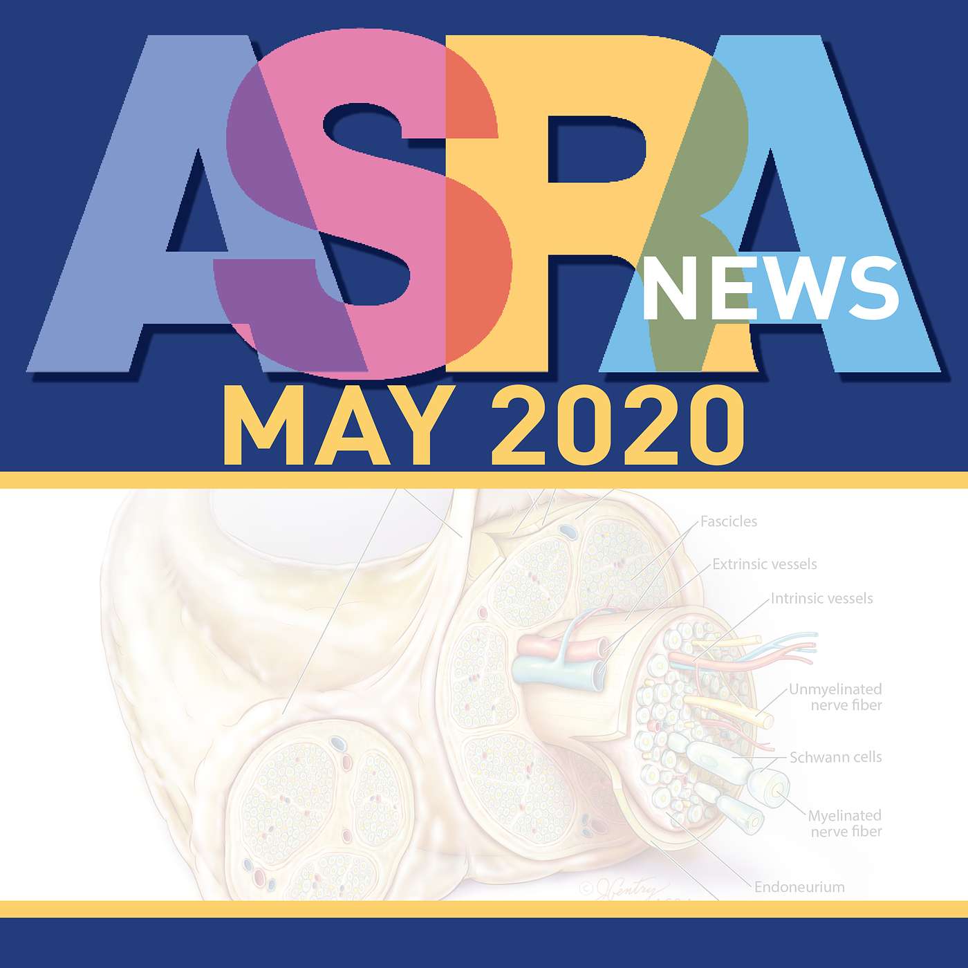 ASRA News