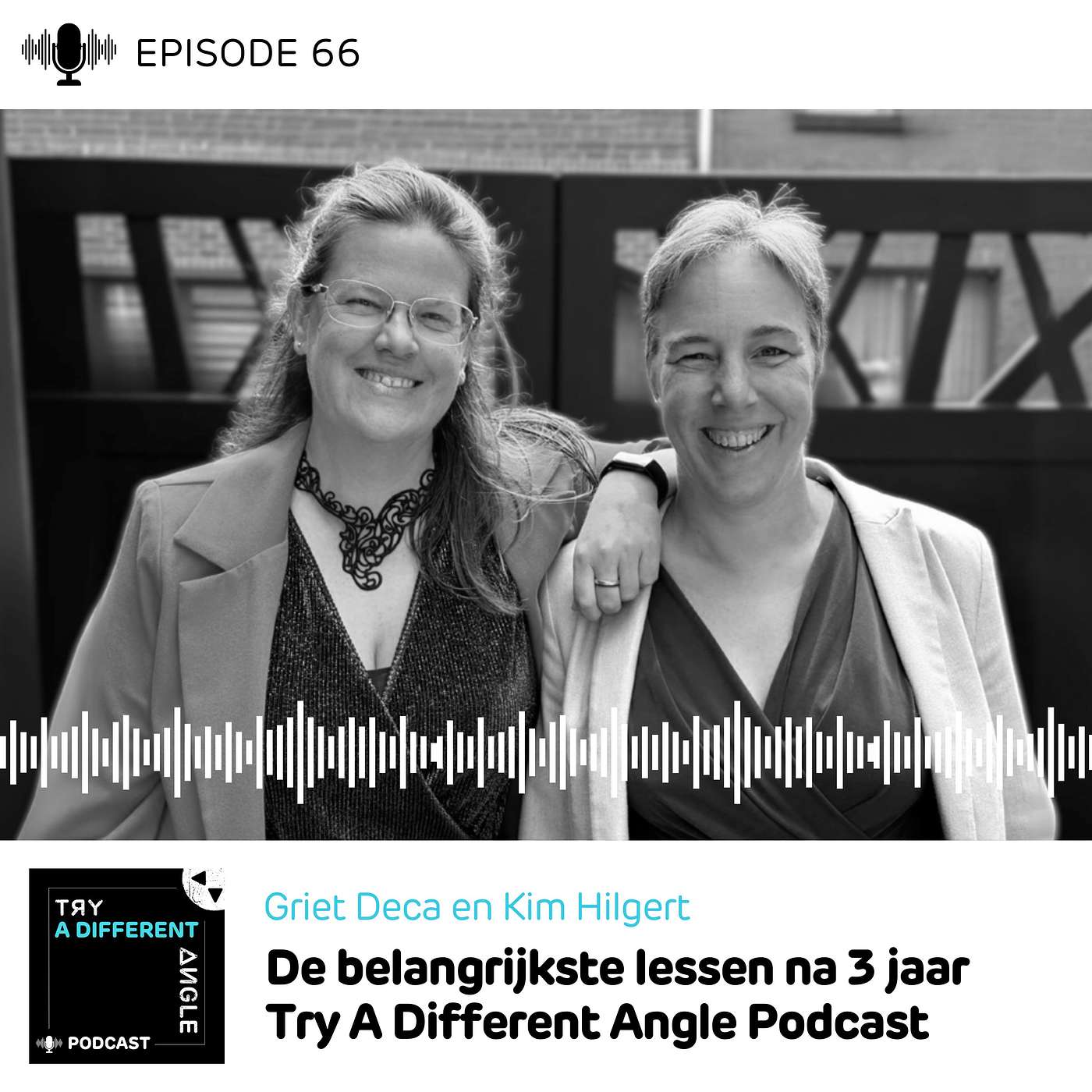 66. De belangrijkste lessen na 3 jaar Try A Different Angle Podcast 66. De belangrijkste lessen na 3 jaar Try A Different Angle Podcast