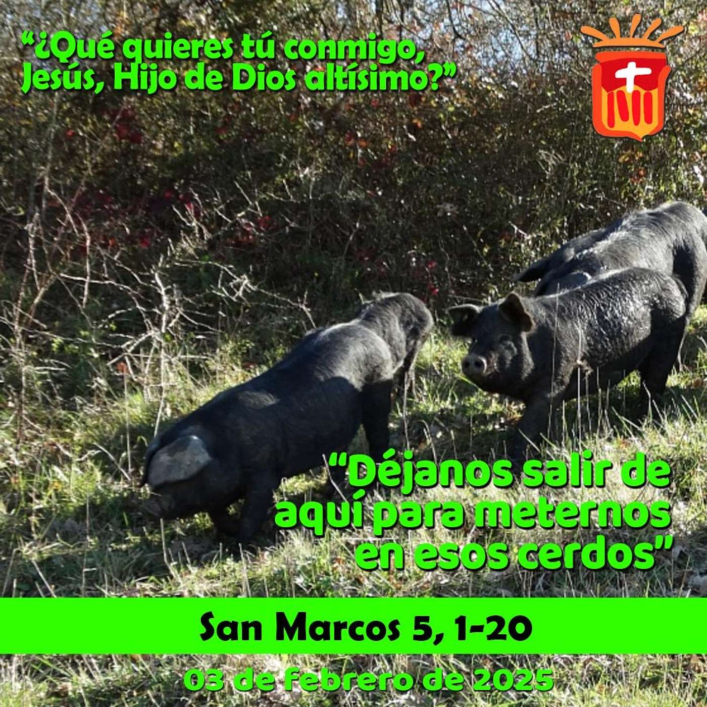 2025-02-03 San Marcos 5, 1-20: Lunes III Ordinario