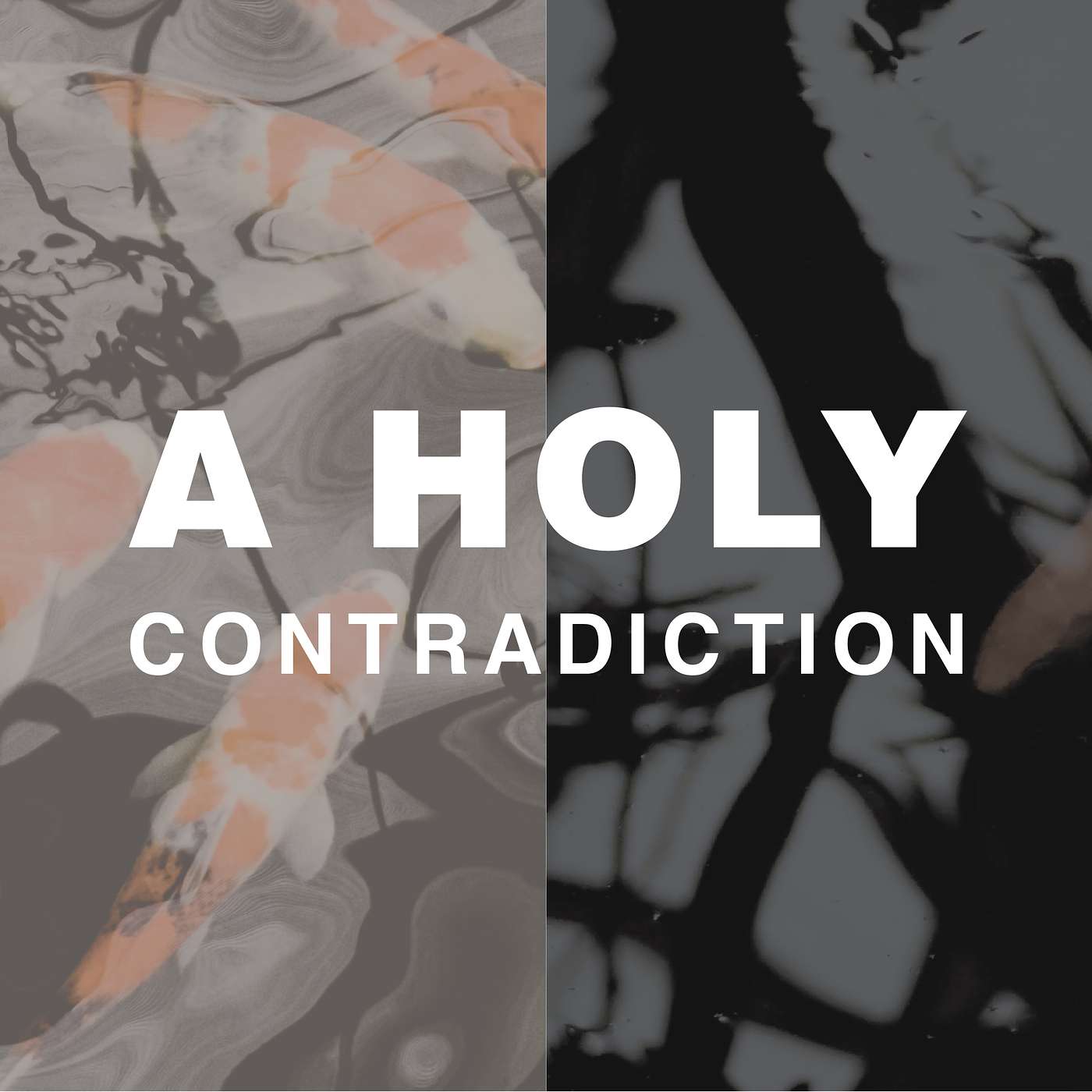 A Holy Contradiction: Eternity in a Transient Time episode artwork