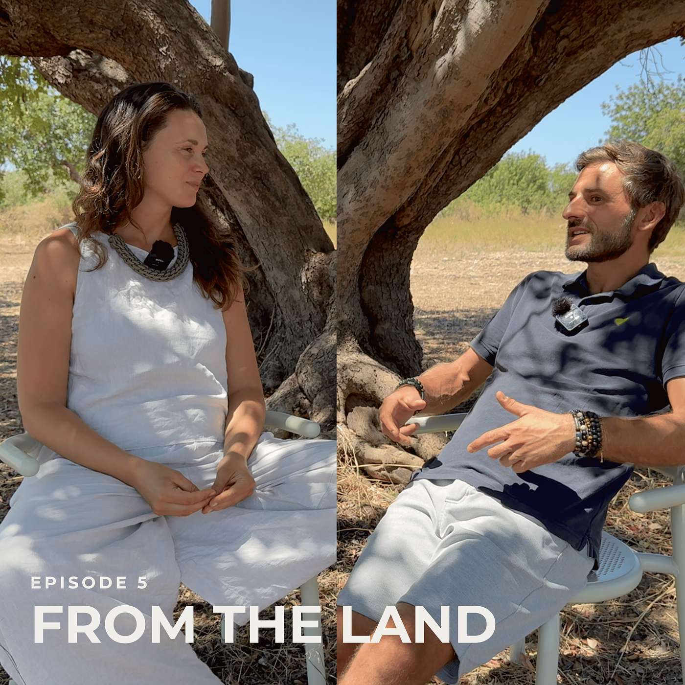WE ARE BACK... a conversation from our Sicilian land episode artwork