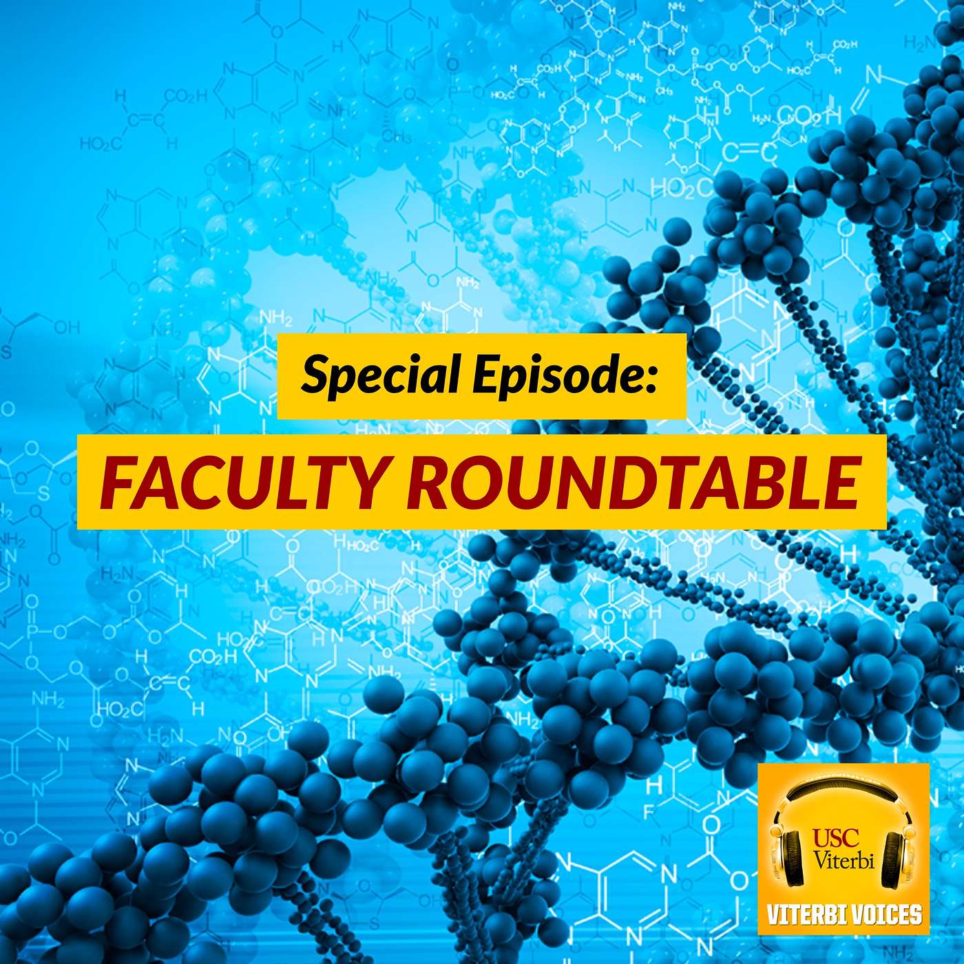 Viterbi Voices: The Podcast